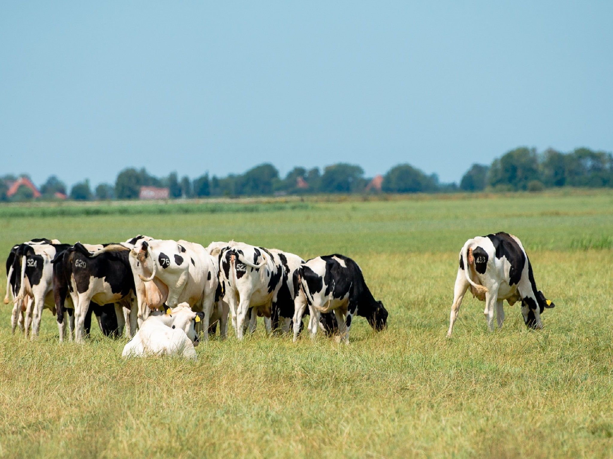 De omgeving van Havenresort Terherne 1 in Terherne