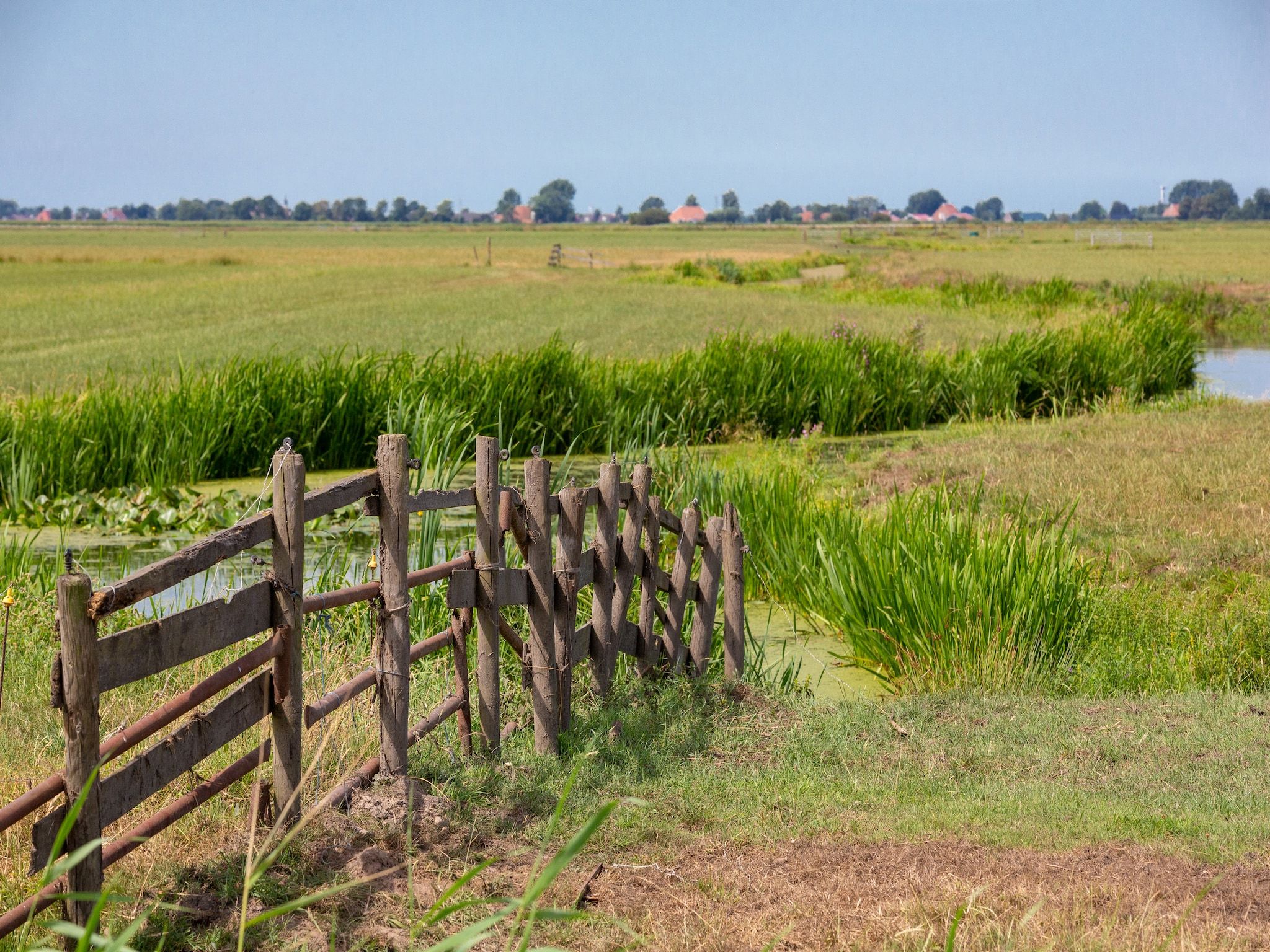 De omgeving van Havenresort Terherne 1 in Terherne