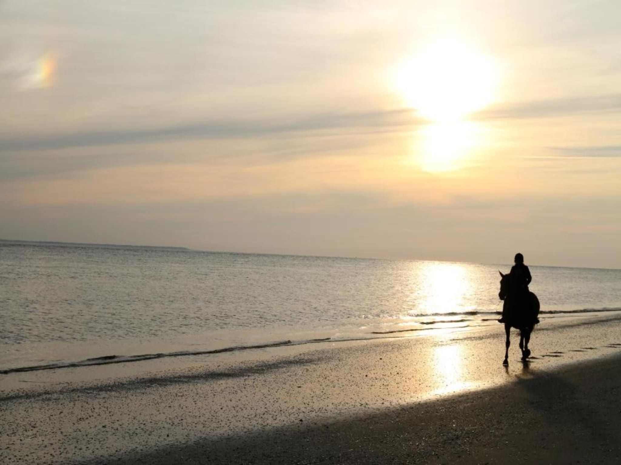 Vakantiepark Boomhiemke 5 in Hollum-Ameland - Foto 36 van 40