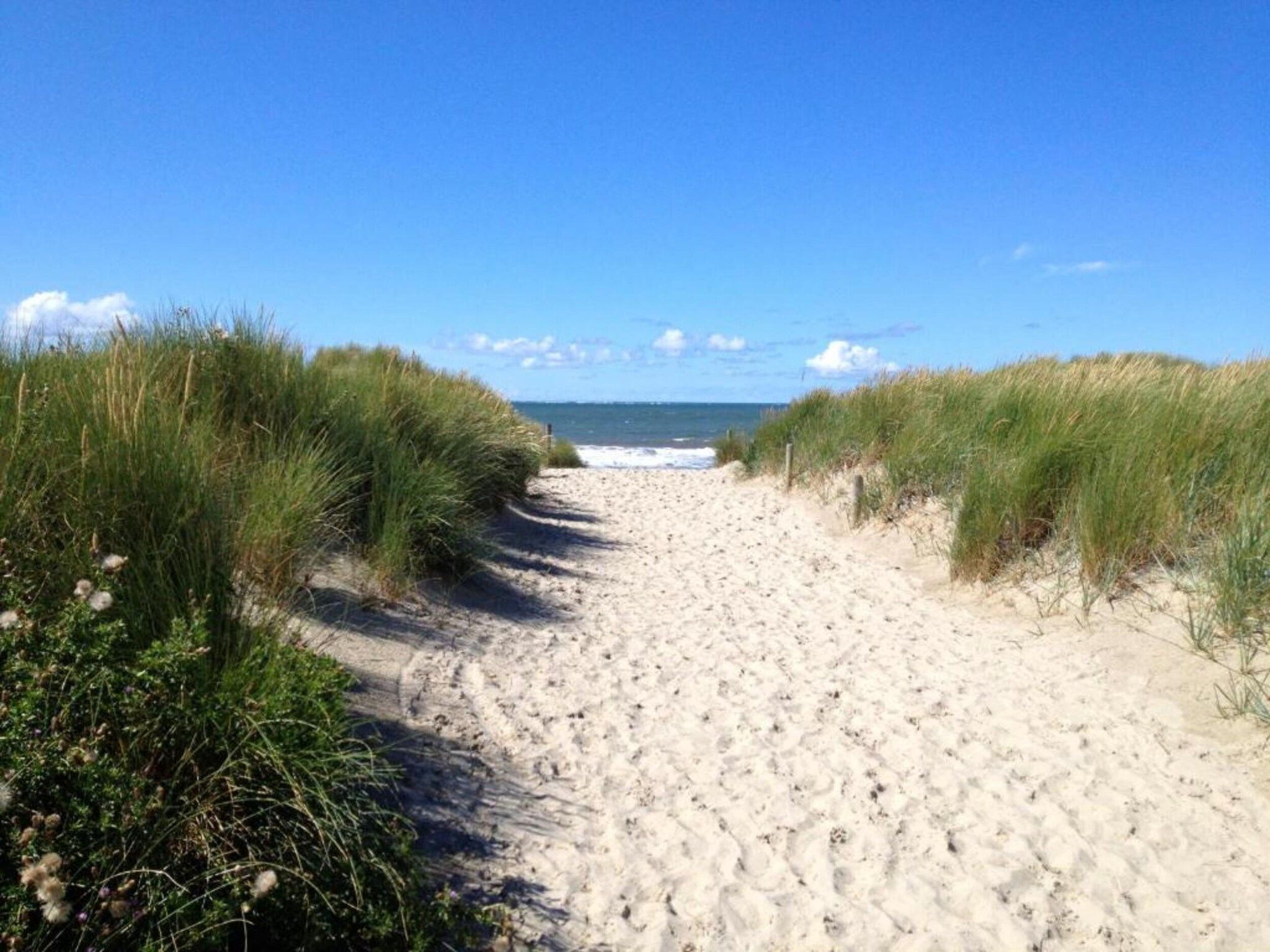 Vakantiepark Boomhiemke 7 in Hollum-Ameland - Foto 36 van 40