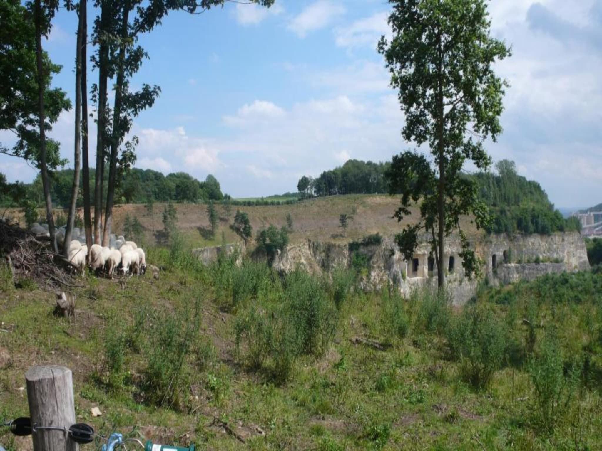 Resort Maastricht 1 in Maastricht - Foto 36 van 40