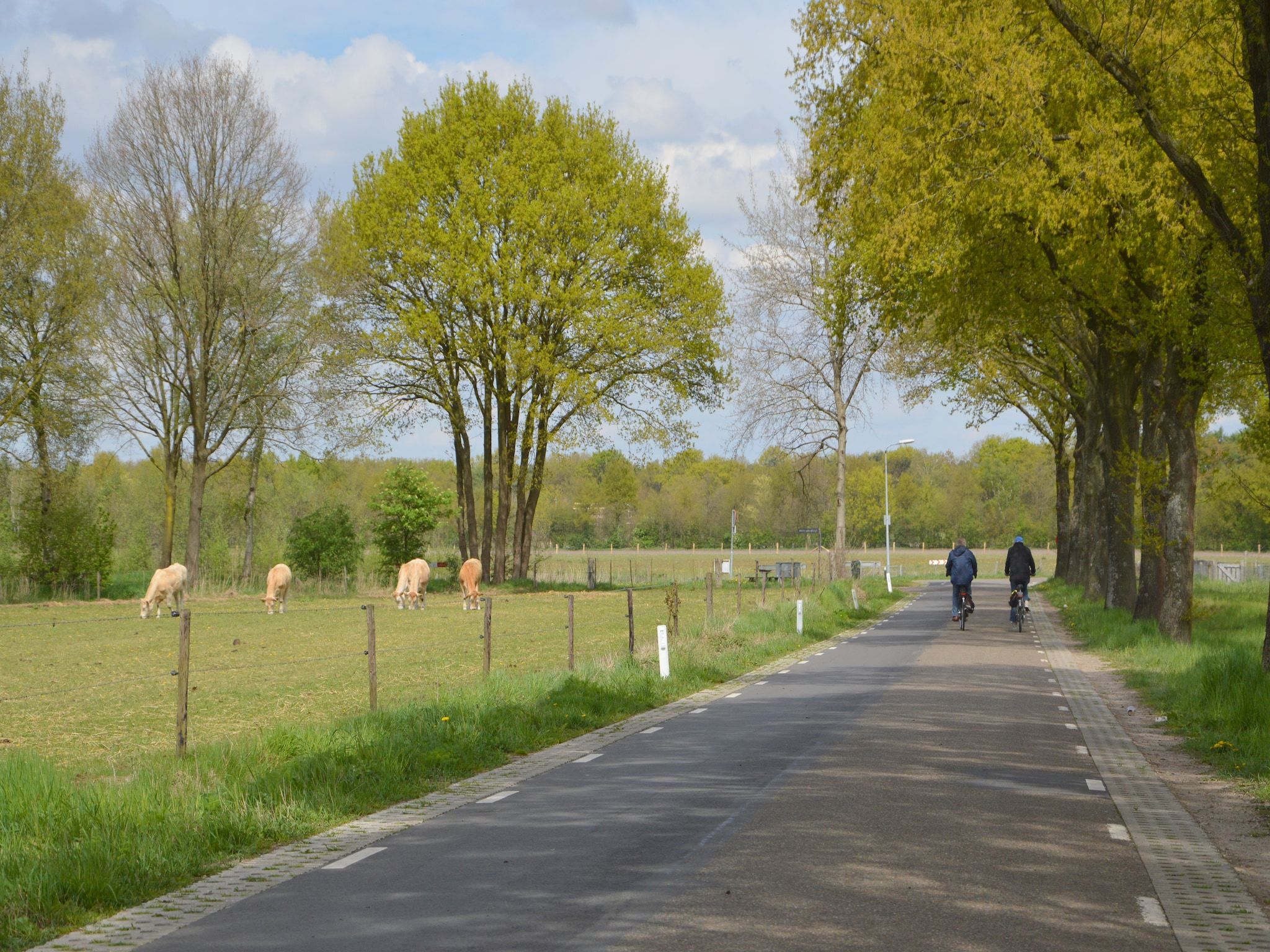 Vosseven 85 Muizeoortje in Stramproy - Foto 31 van 36