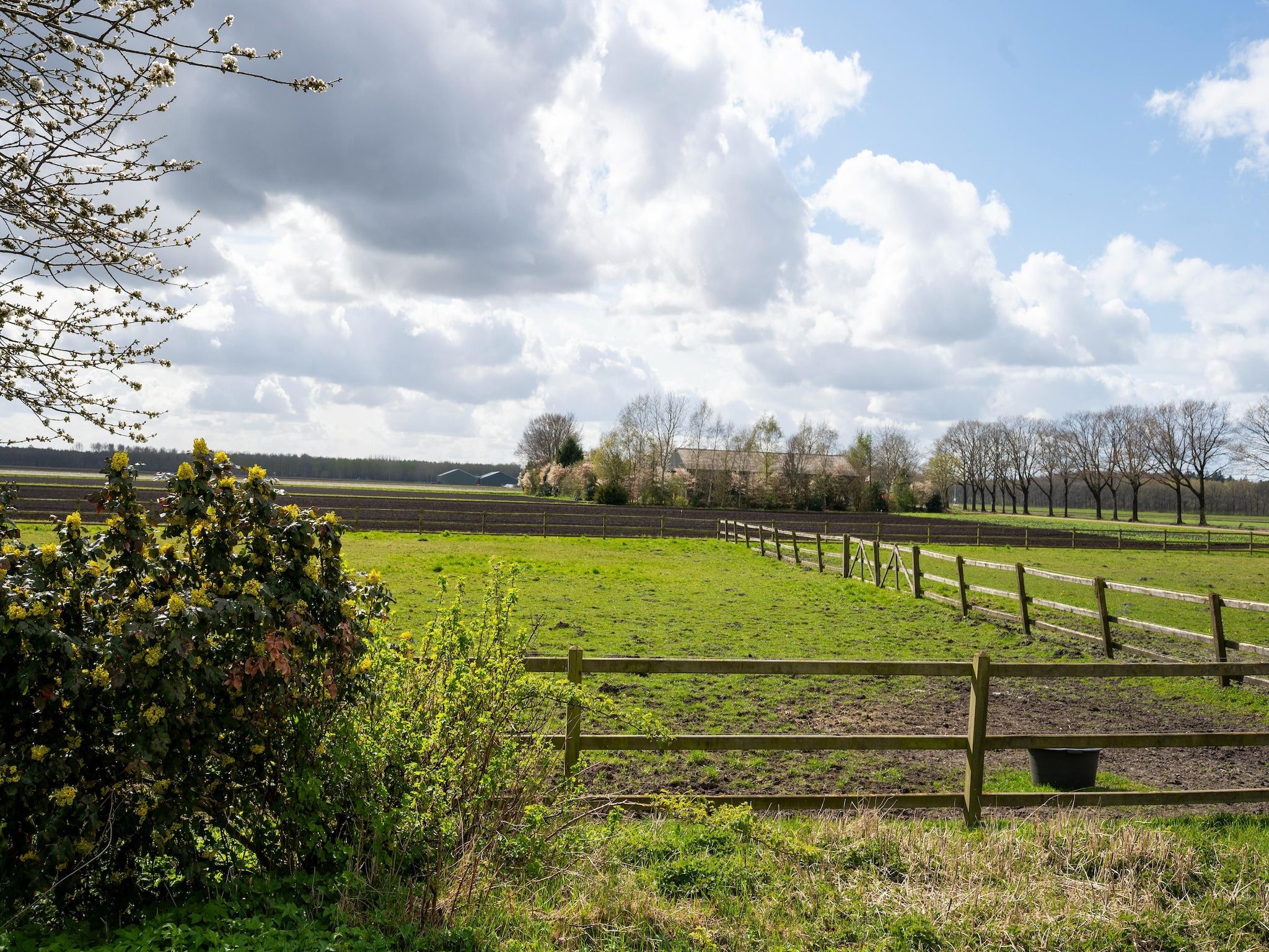Het uitzicht vanaf De Kibbelhoeve in Kibbelveen