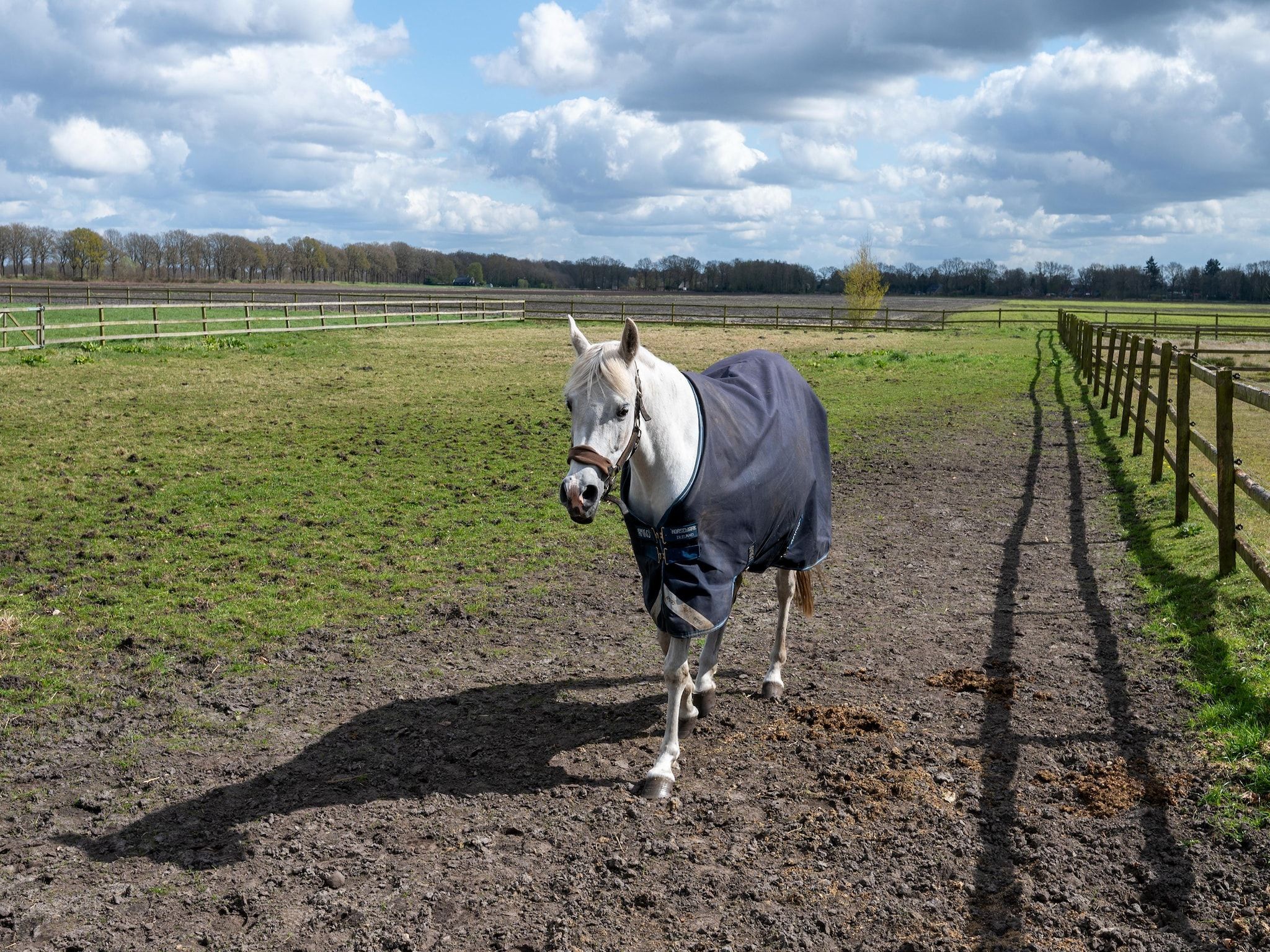 De Kibbelhoeve in Kibbelveen - Foto 31 van 39