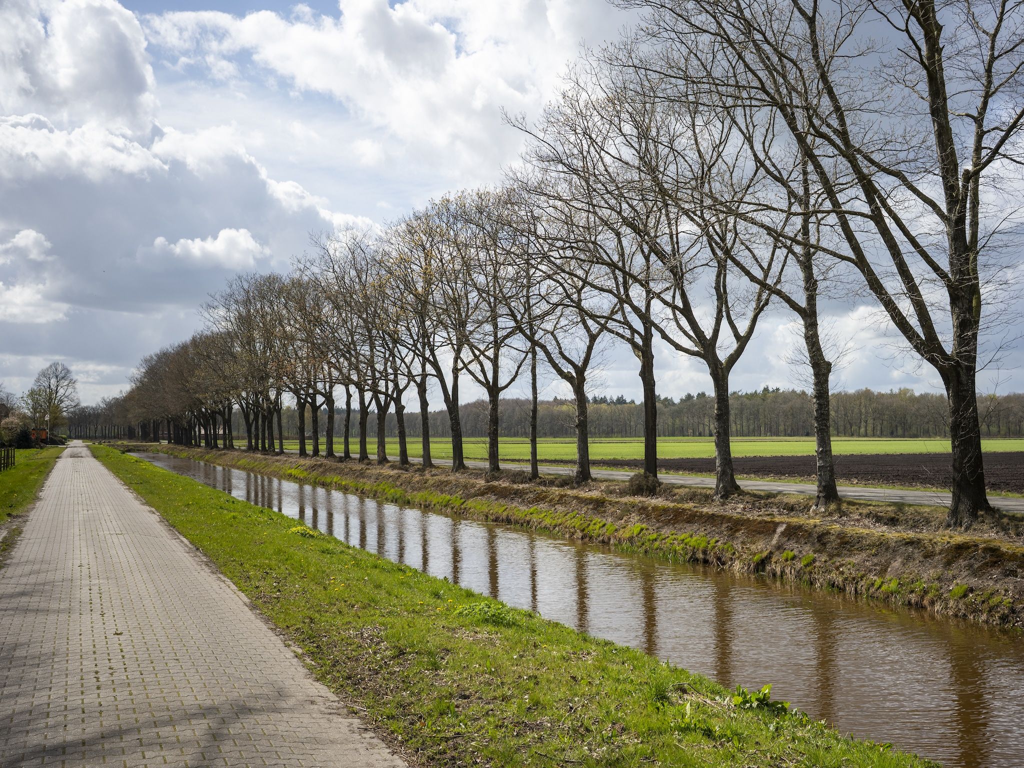 De omgeving van De Kibbelhoeve in Kibbelveen