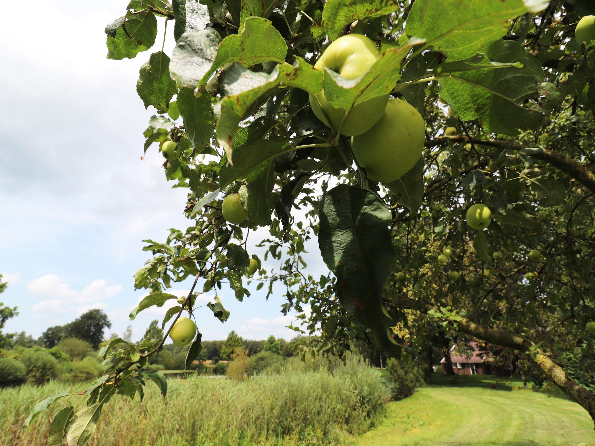 De tuin van Landgoed de Klimberg in Rheezerveen