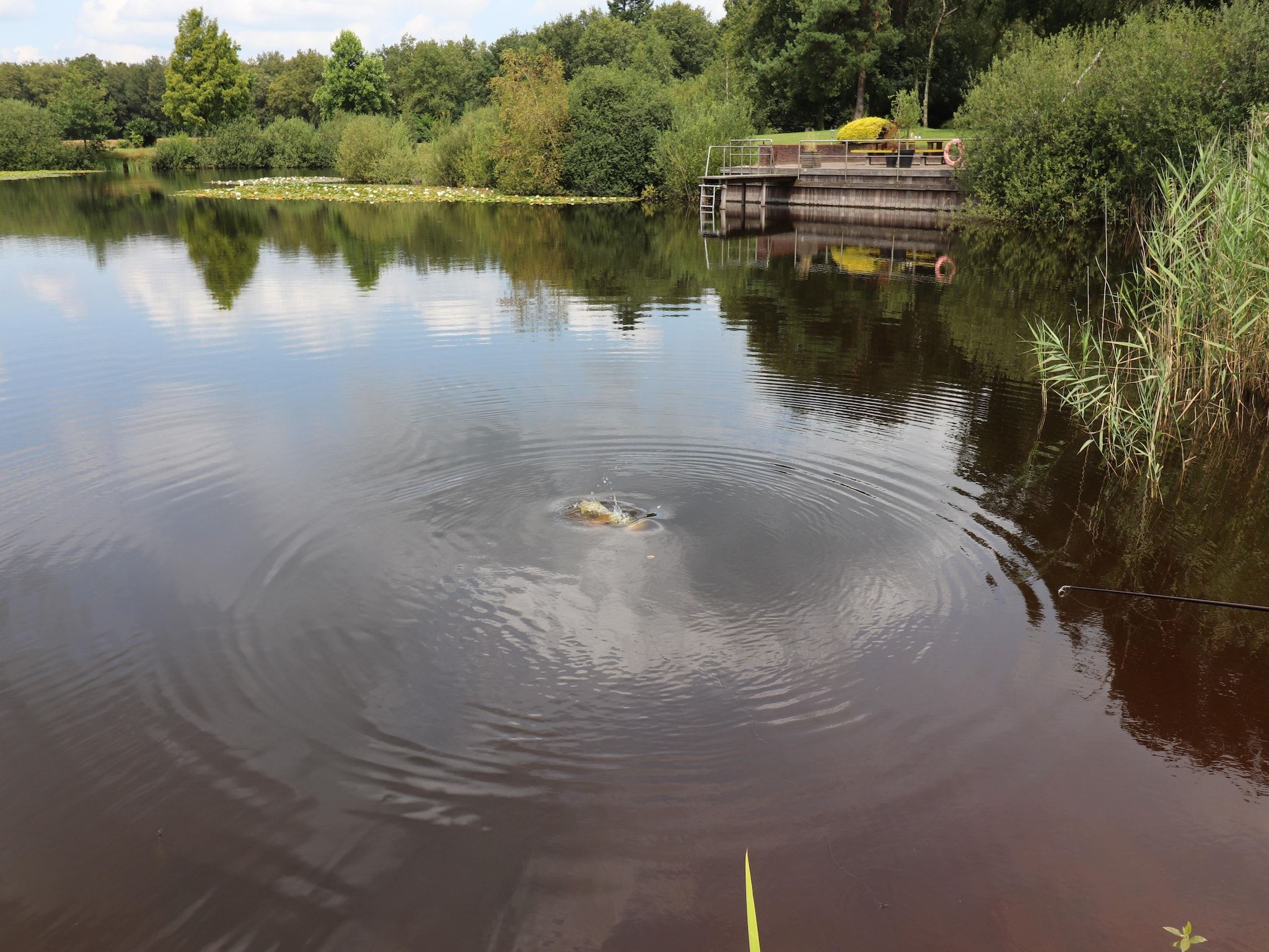 Voorzieningen bij Landgoed de Klimberg in Rheezerveen