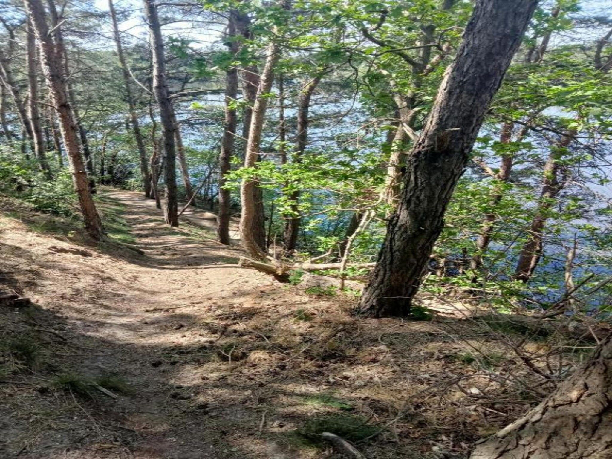 Tuinpad in Geesteren - Foto 34 van 40