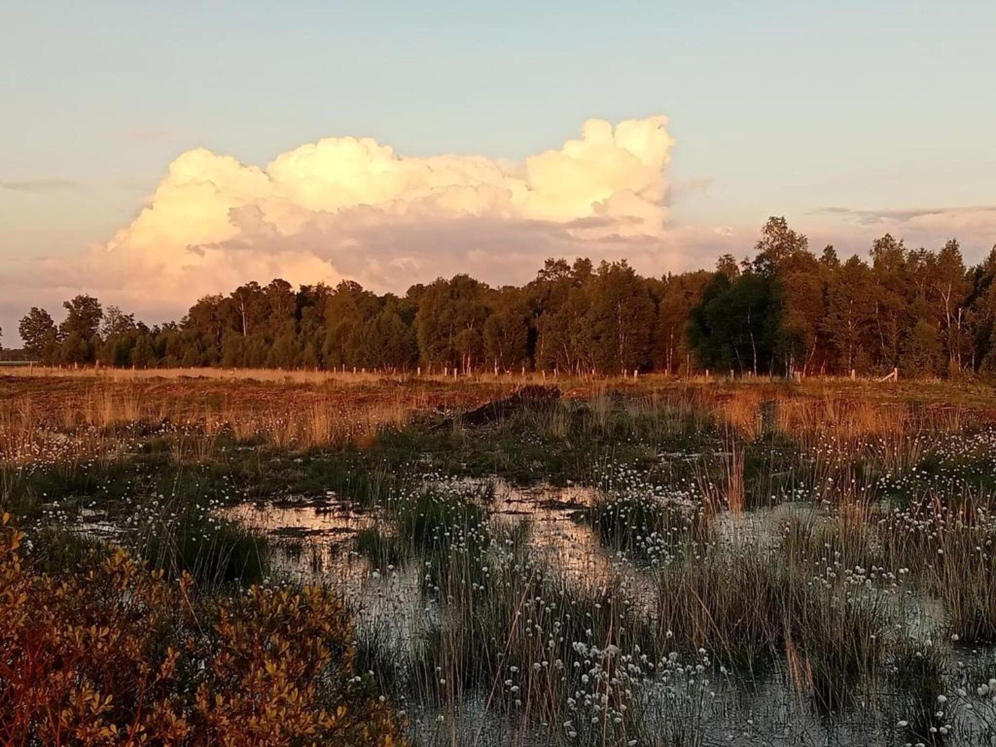 Tuinpad in Geesteren - Foto 31 van 40