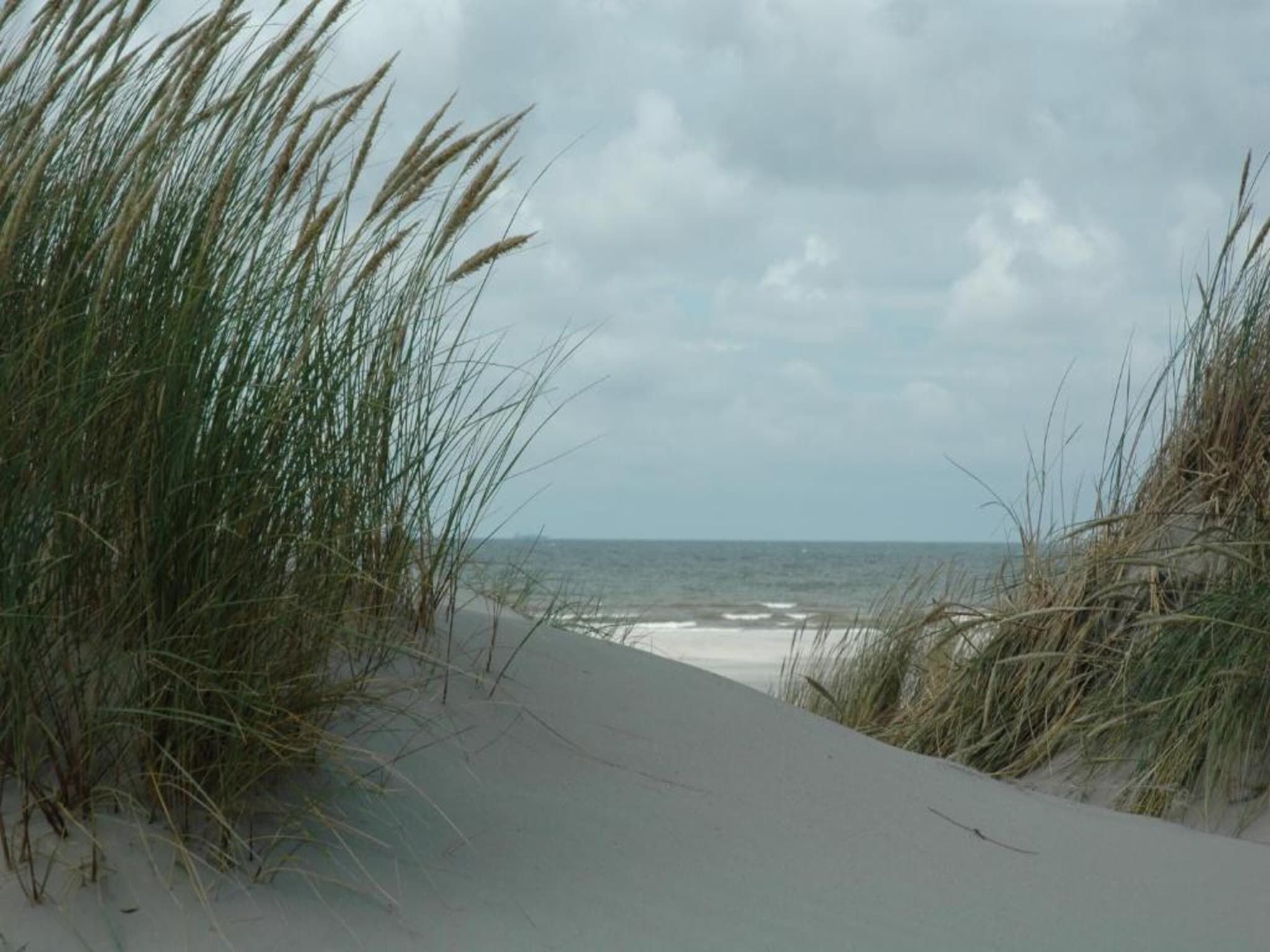 Duindroom op Terschelling in Midsland Terschelling - Foto 31 van 40