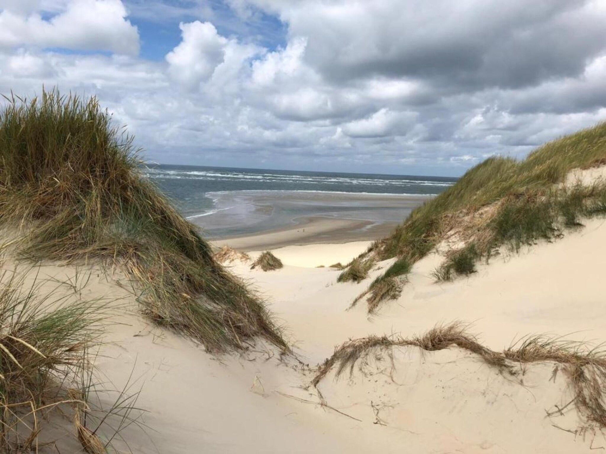 Duindroom op Terschelling in Midsland Terschelling - Foto 32 van 40