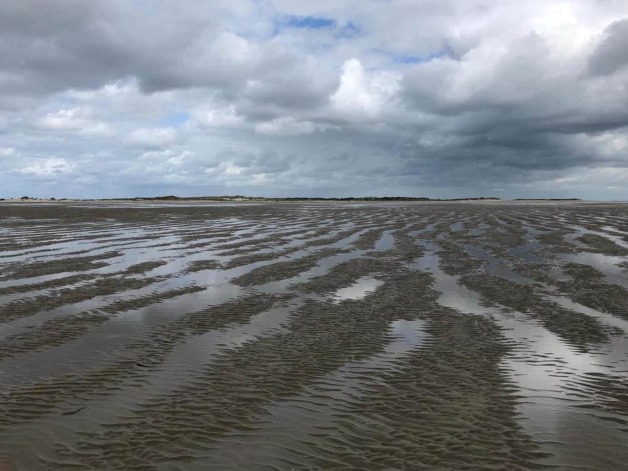 Duindroom op Terschelling in Midsland Terschelling - Foto 34 van 40