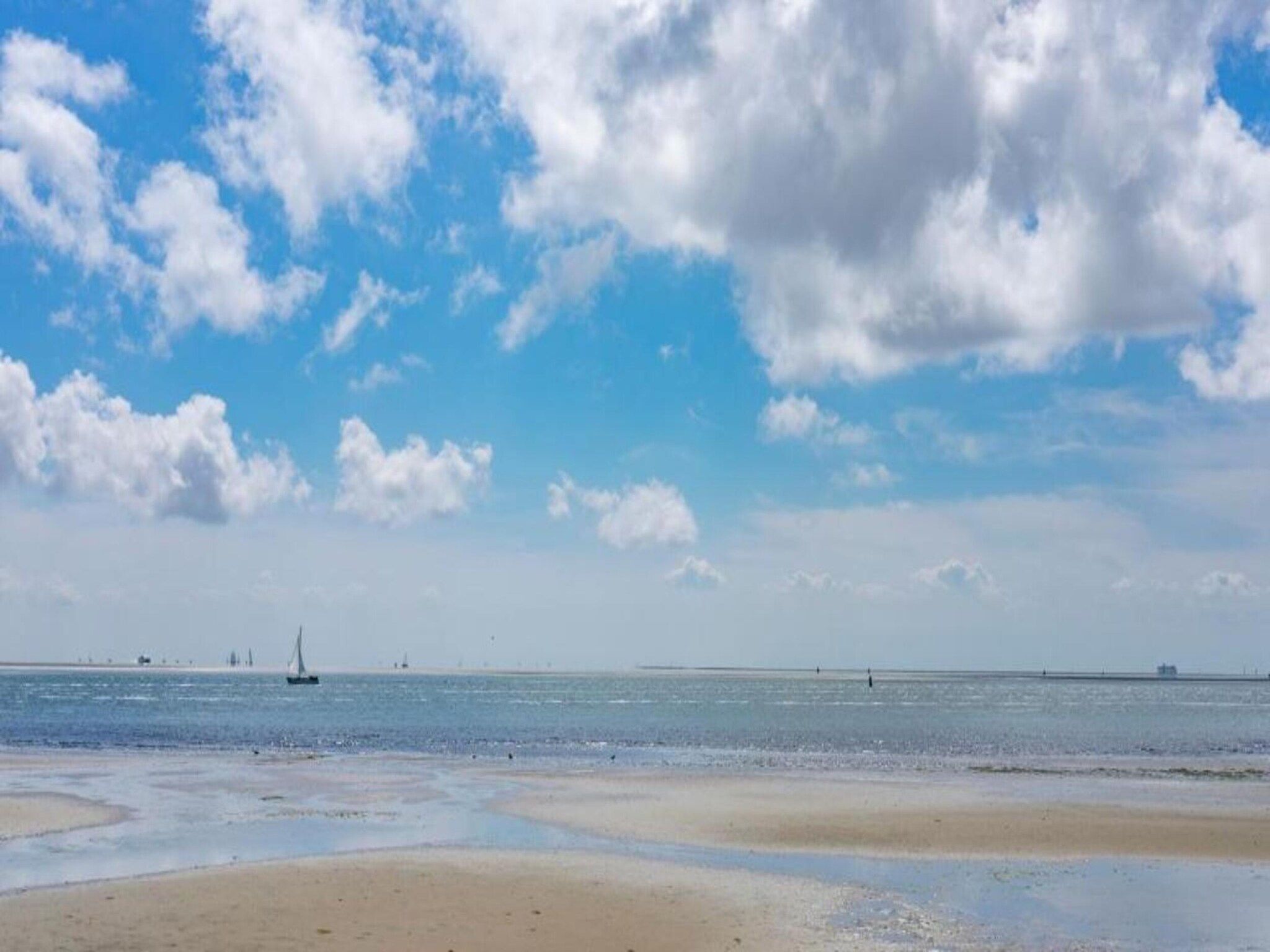 Duindroom op Terschelling in Midsland Terschelling - Foto 37 van 40