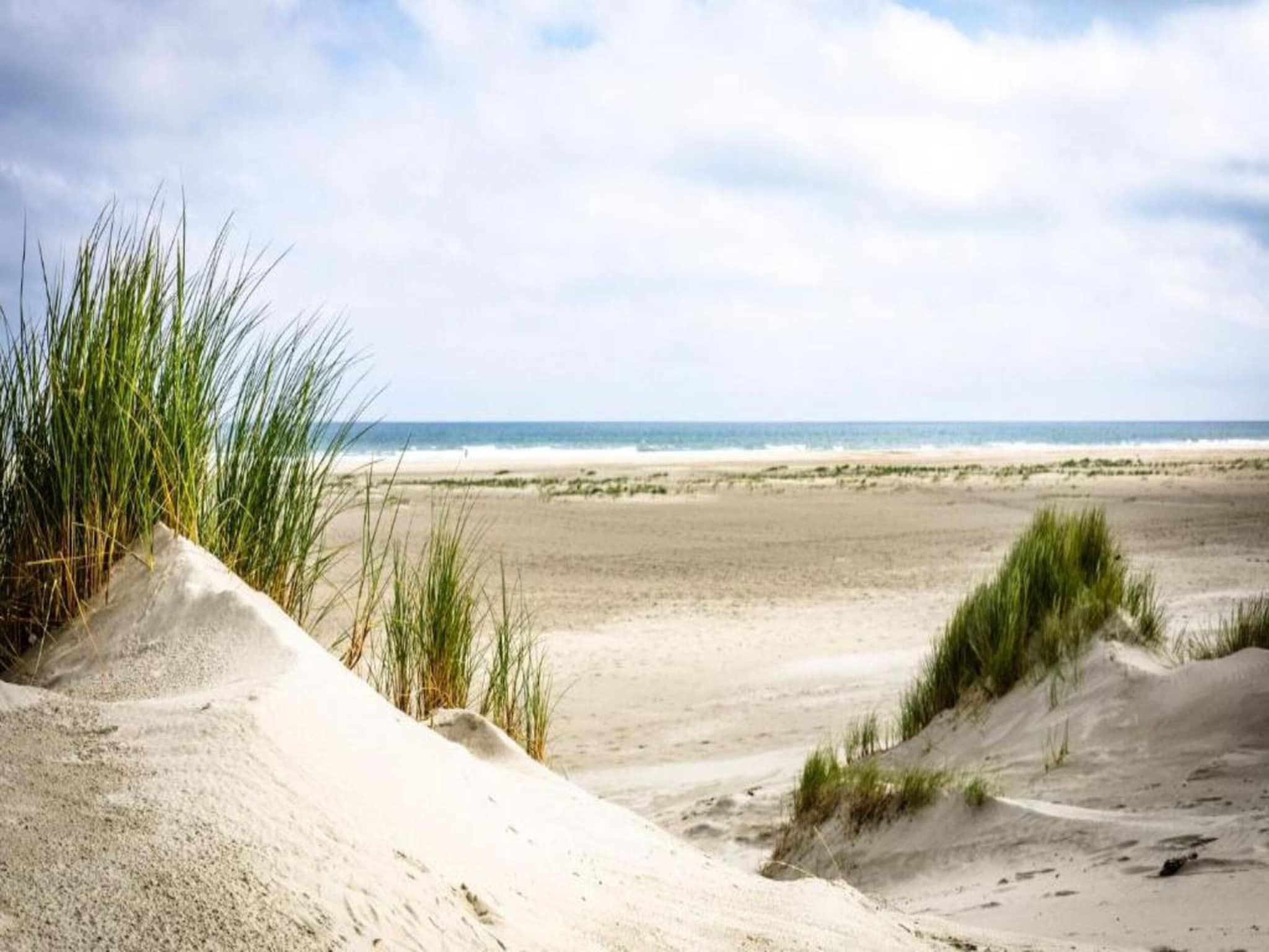 Duindroom op Terschelling in Midsland Terschelling - Foto 39 van 40