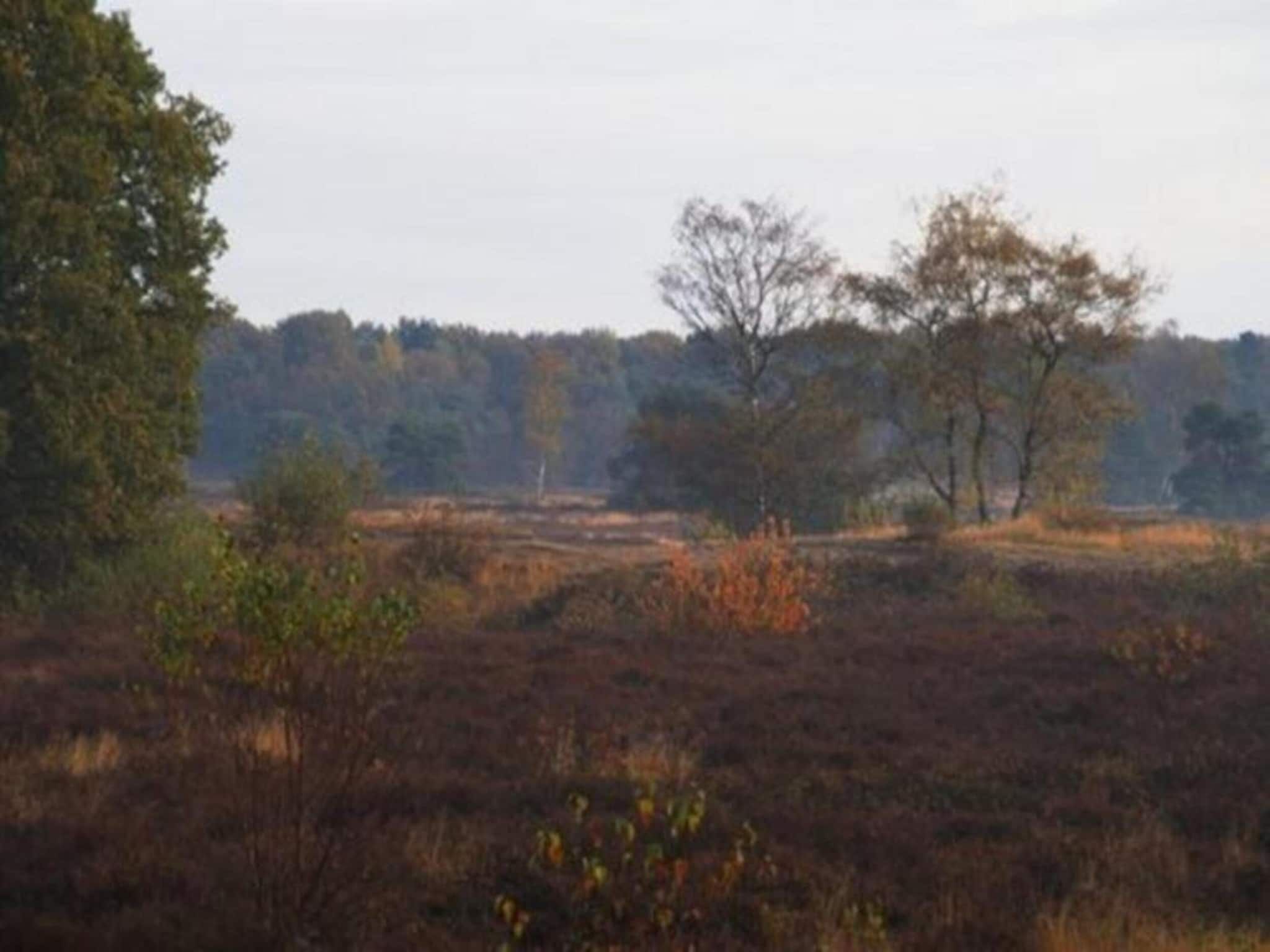 Vakantiepark Sandberghe 3 in Uden - Foto 36 van 42