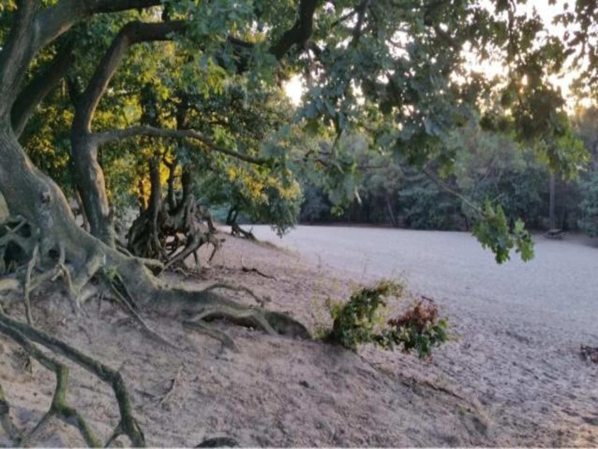 Vakantiepark Sandberghe 3 in Uden - Foto 38 van 42