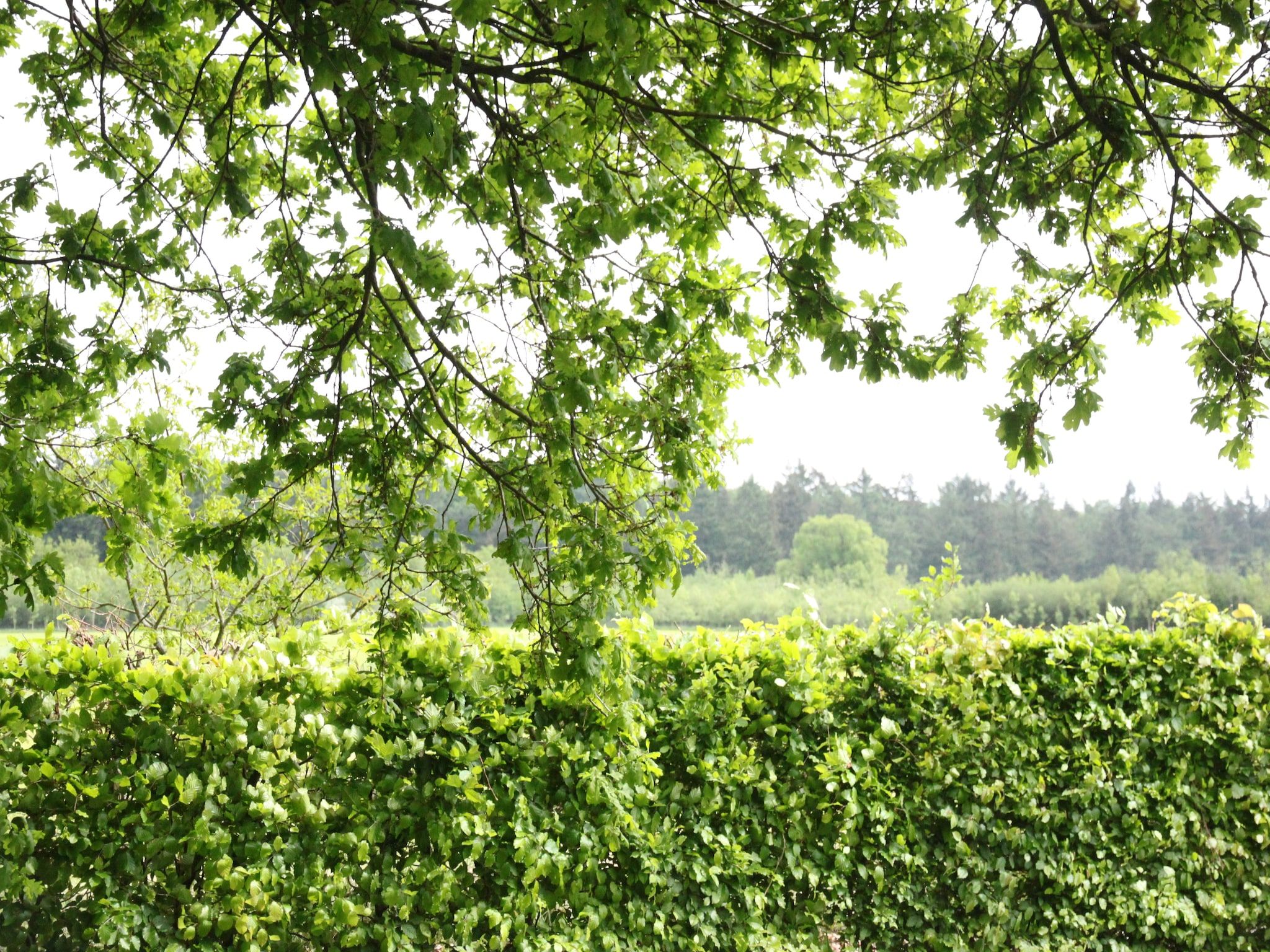 Hofstede Groot Blankenstein in Doorn - Foto 39 van 40