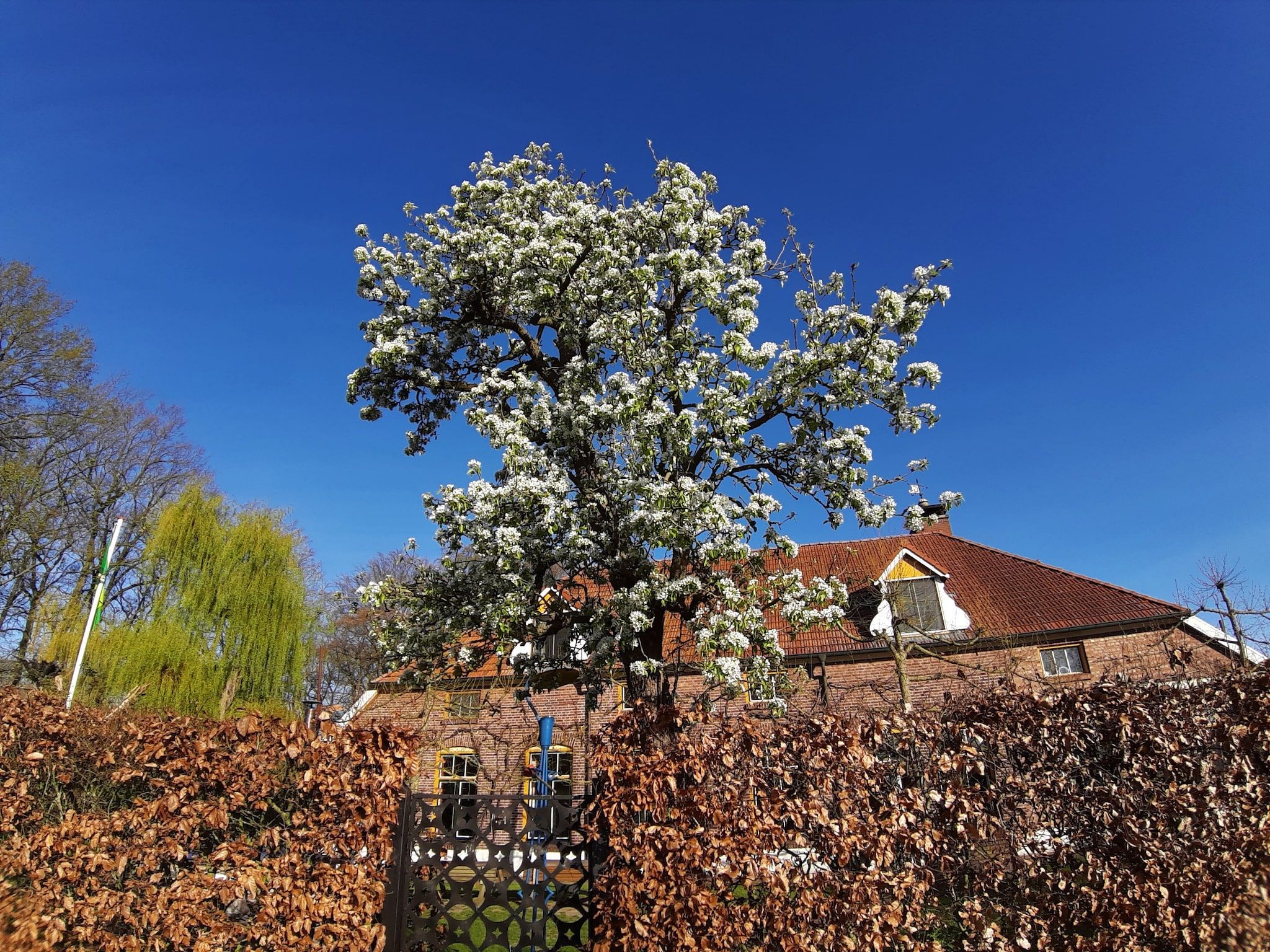 De buitenkant van Gelink Hof in Rekken