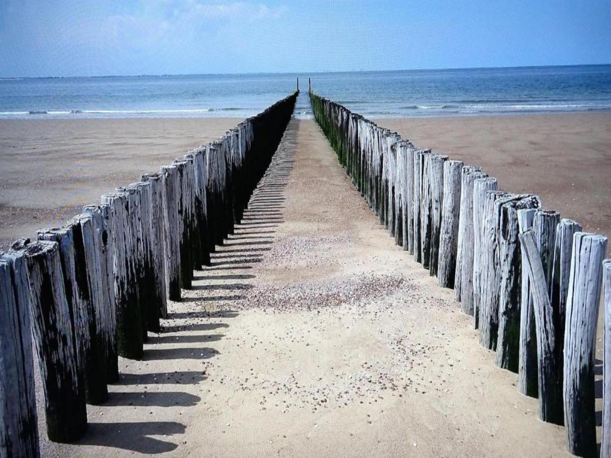 De omgeving van Noordzee Résidence Dishoek 4 in Koudekerke