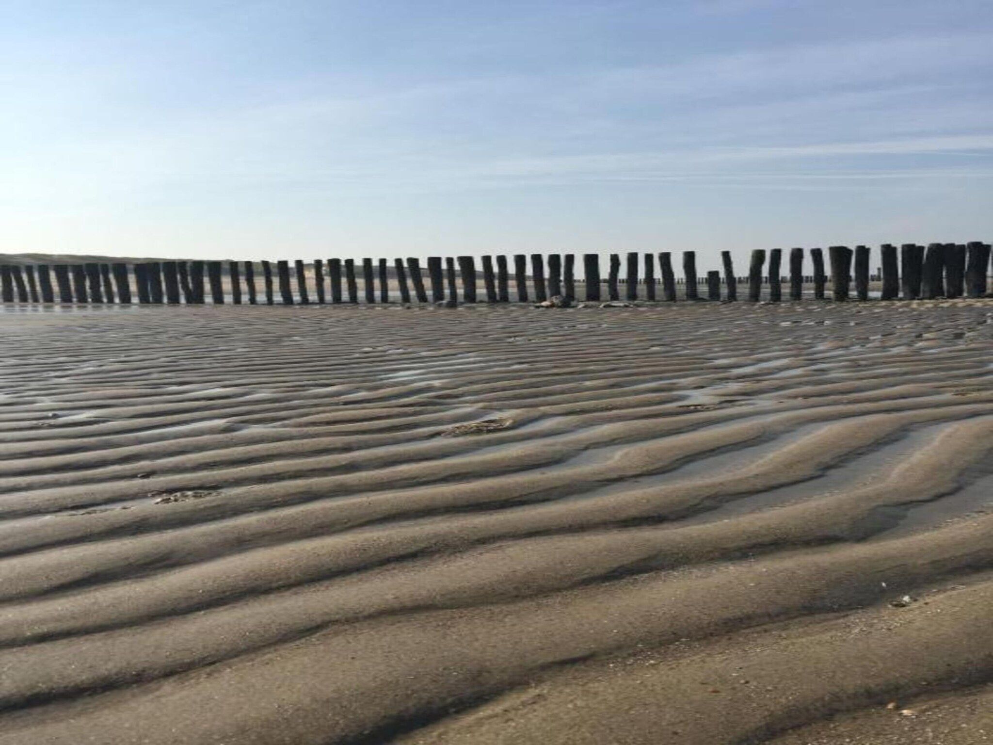 De omgeving van Noordzee Résidence Dishoek 4 in Koudekerke