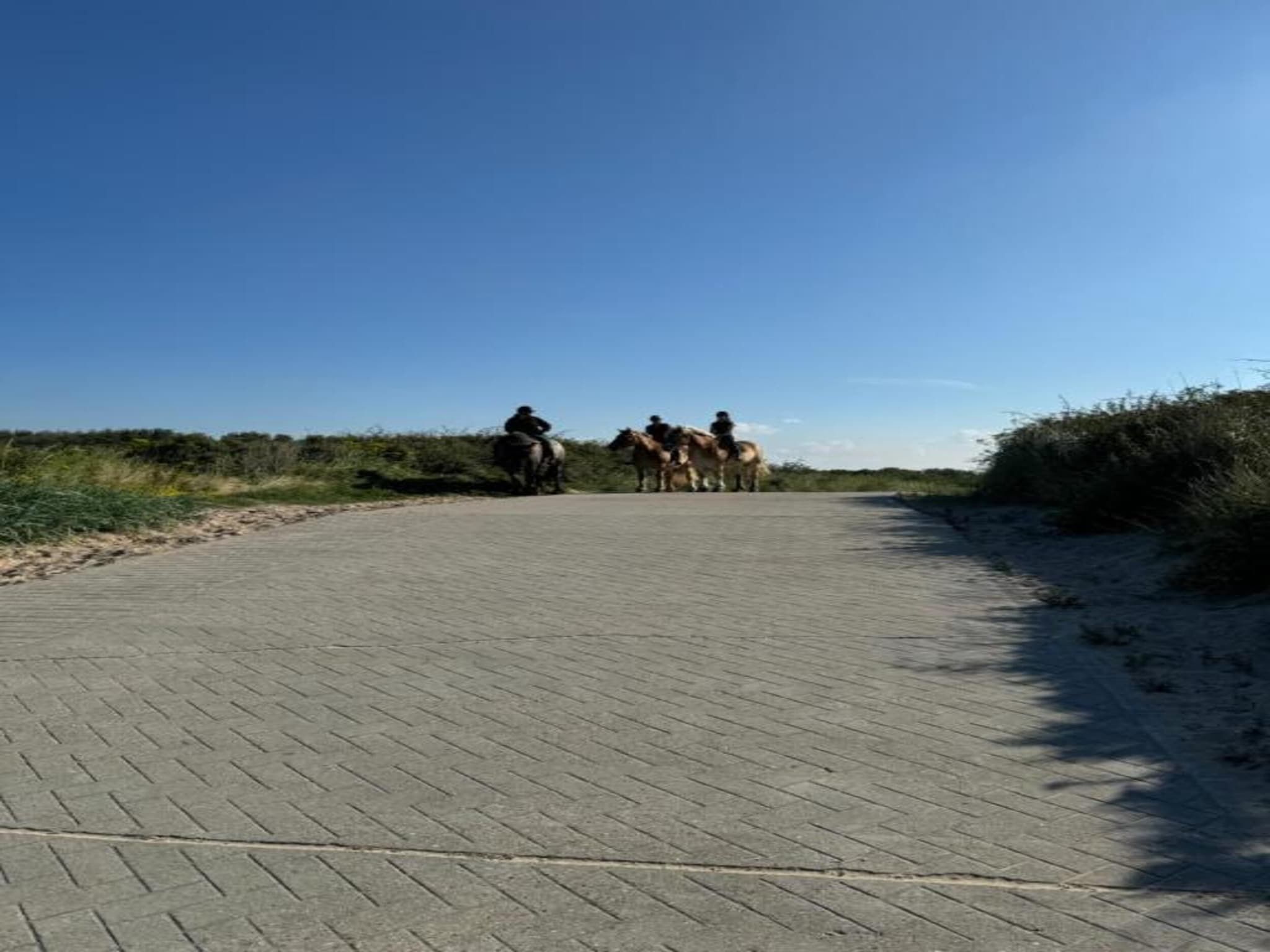 De omgeving van Noordzee Résidence Dishoek 4 in Koudekerke