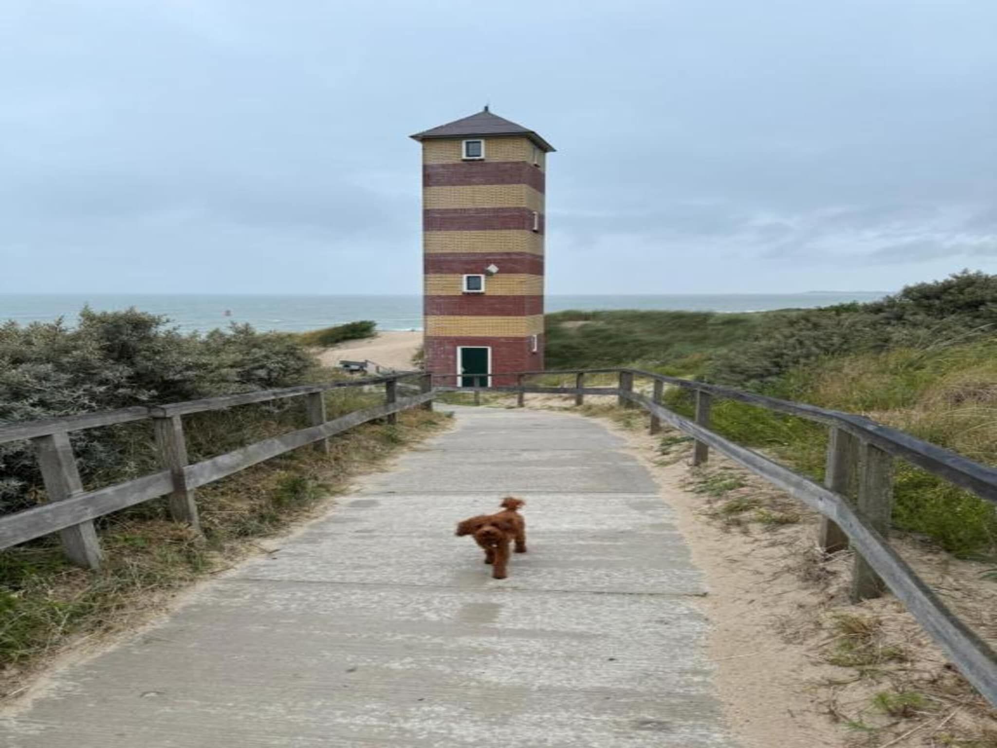 De omgeving van Noordzee Résidence Dishoek 4 in Koudekerke