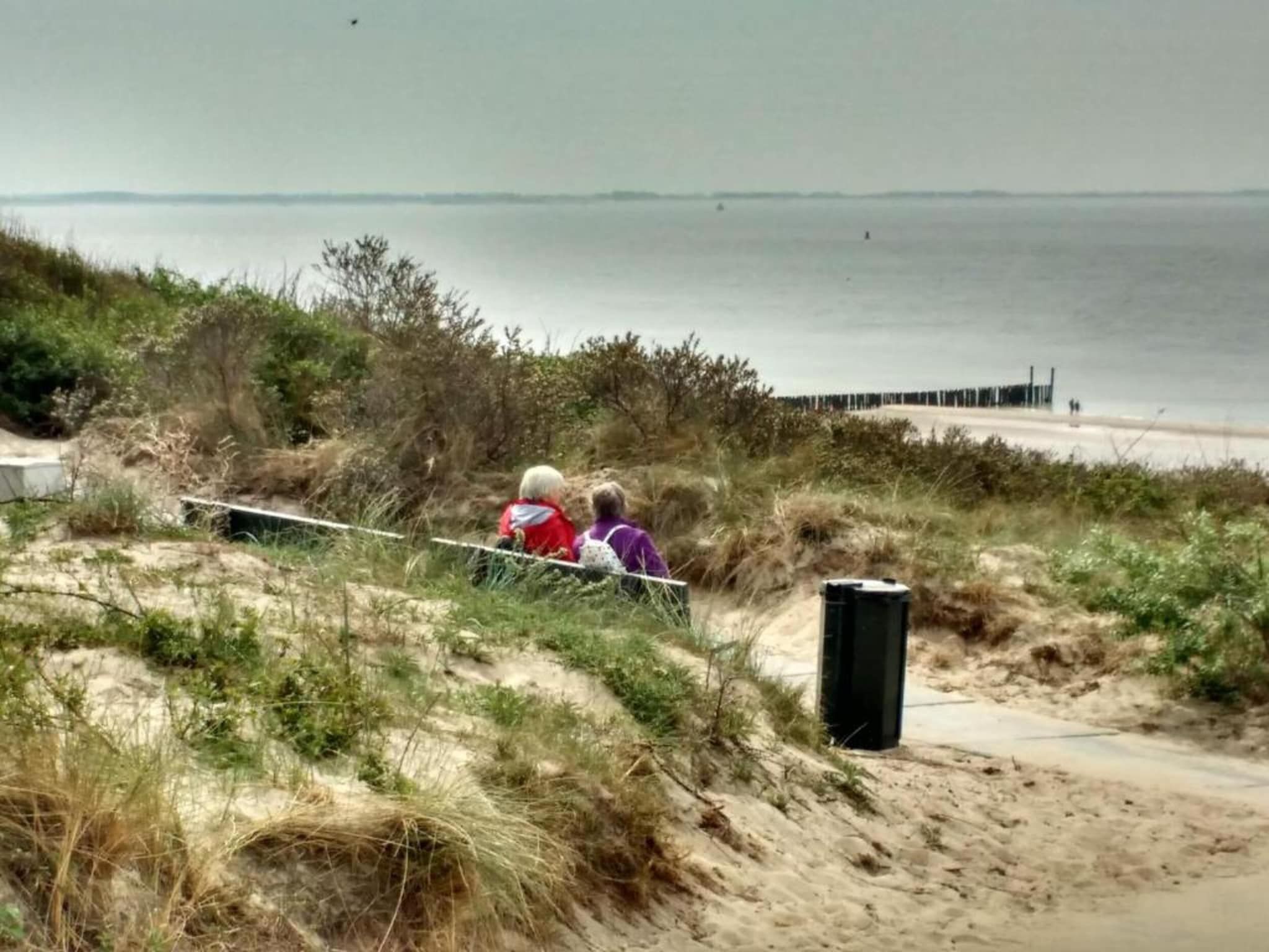 De omgeving van Noordzee Résidence Dishoek 11 in Koudekerke