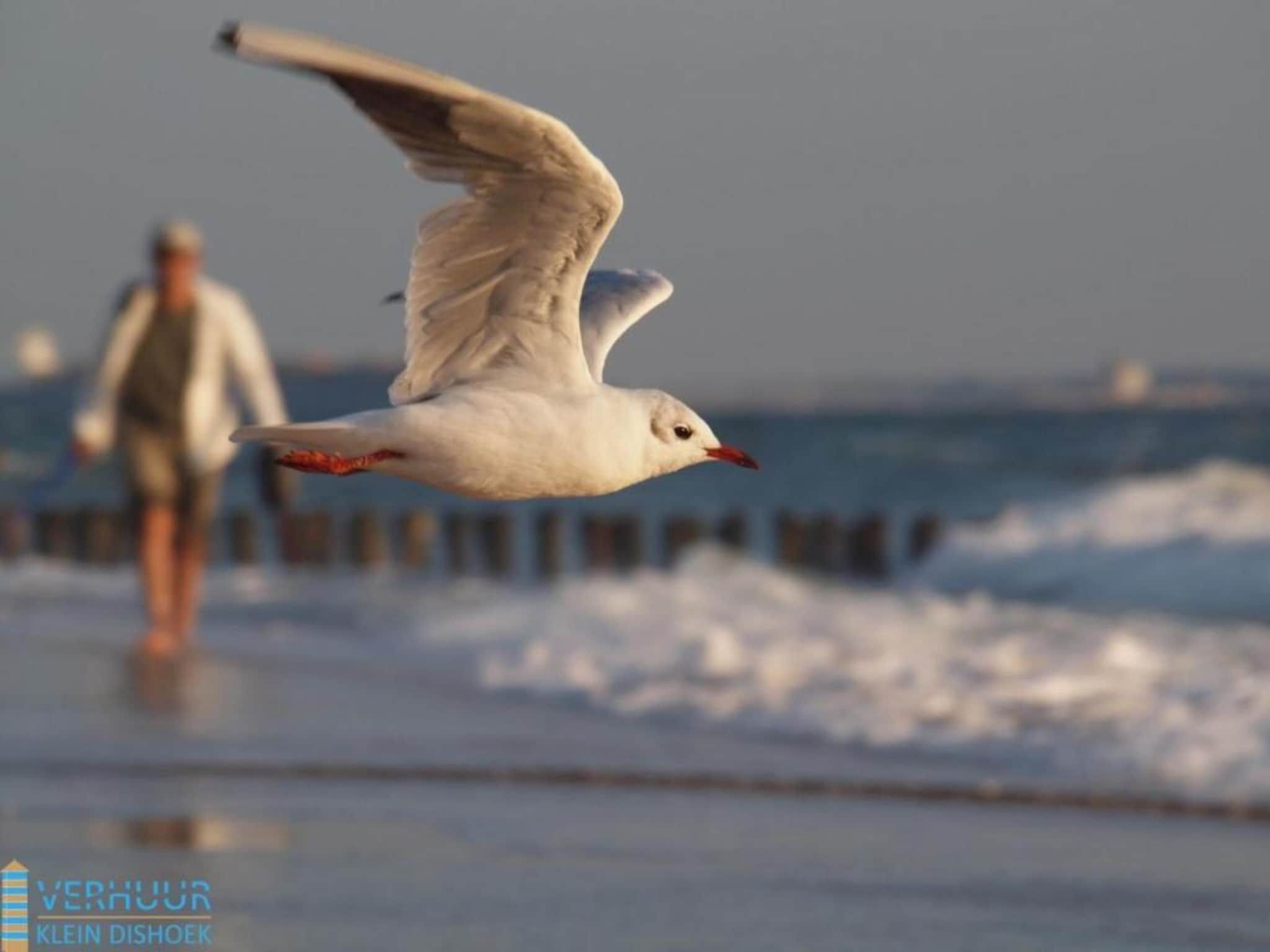 Sfeerbeeld van Noordzee Résidence Dishoek 11 in Koudekerke