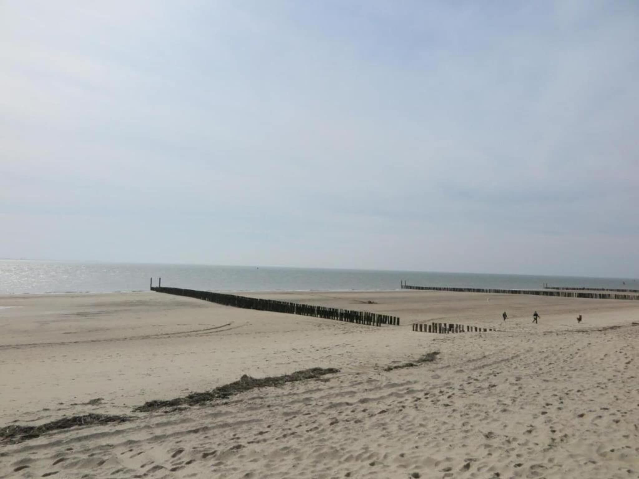 De omgeving van Noordzee Résidence Dishoek 11 in Koudekerke