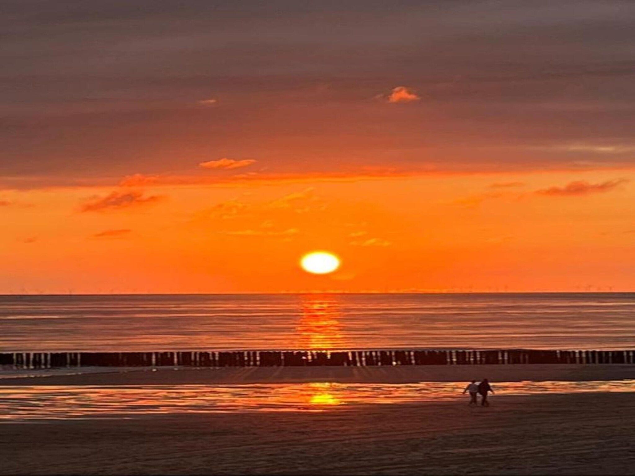 De omgeving van Noordzee Résidence Dishoek 9 in Koudekerke