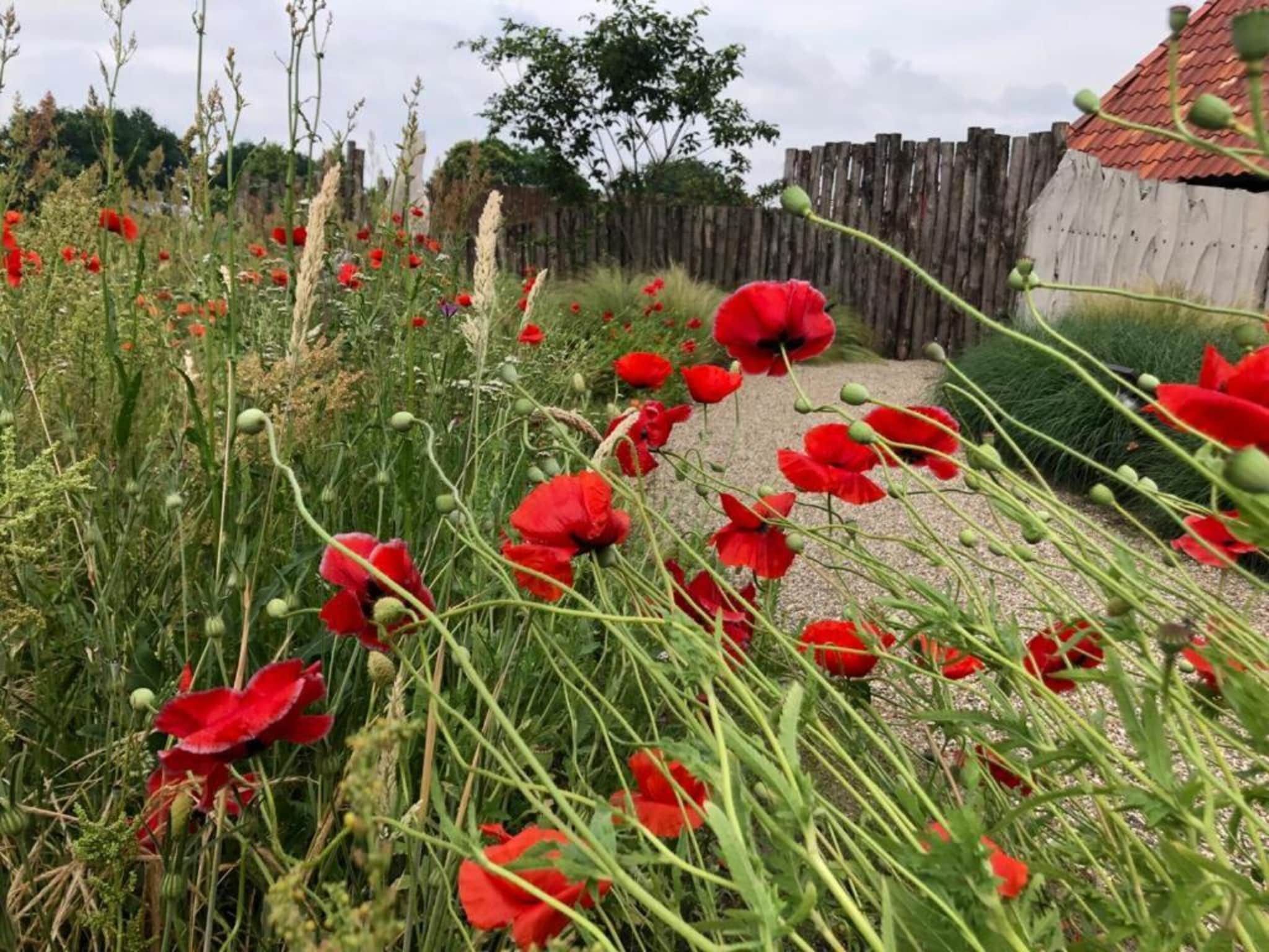 Vakantiepark Sandberghe 6 in Uden - Foto 34 van 40
