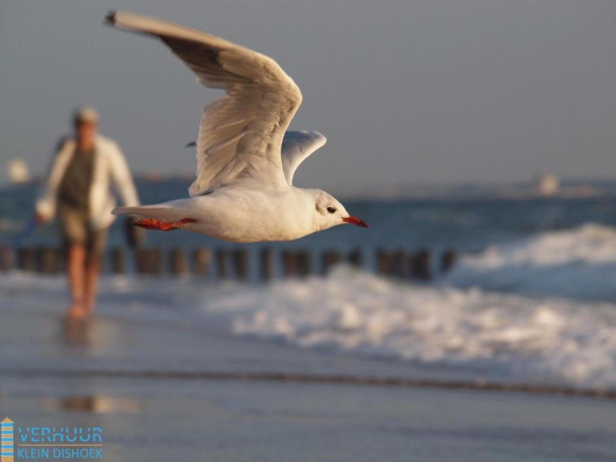Sfeerbeeld van Noordzee Résidence Dishoek 7 in Koudekerke