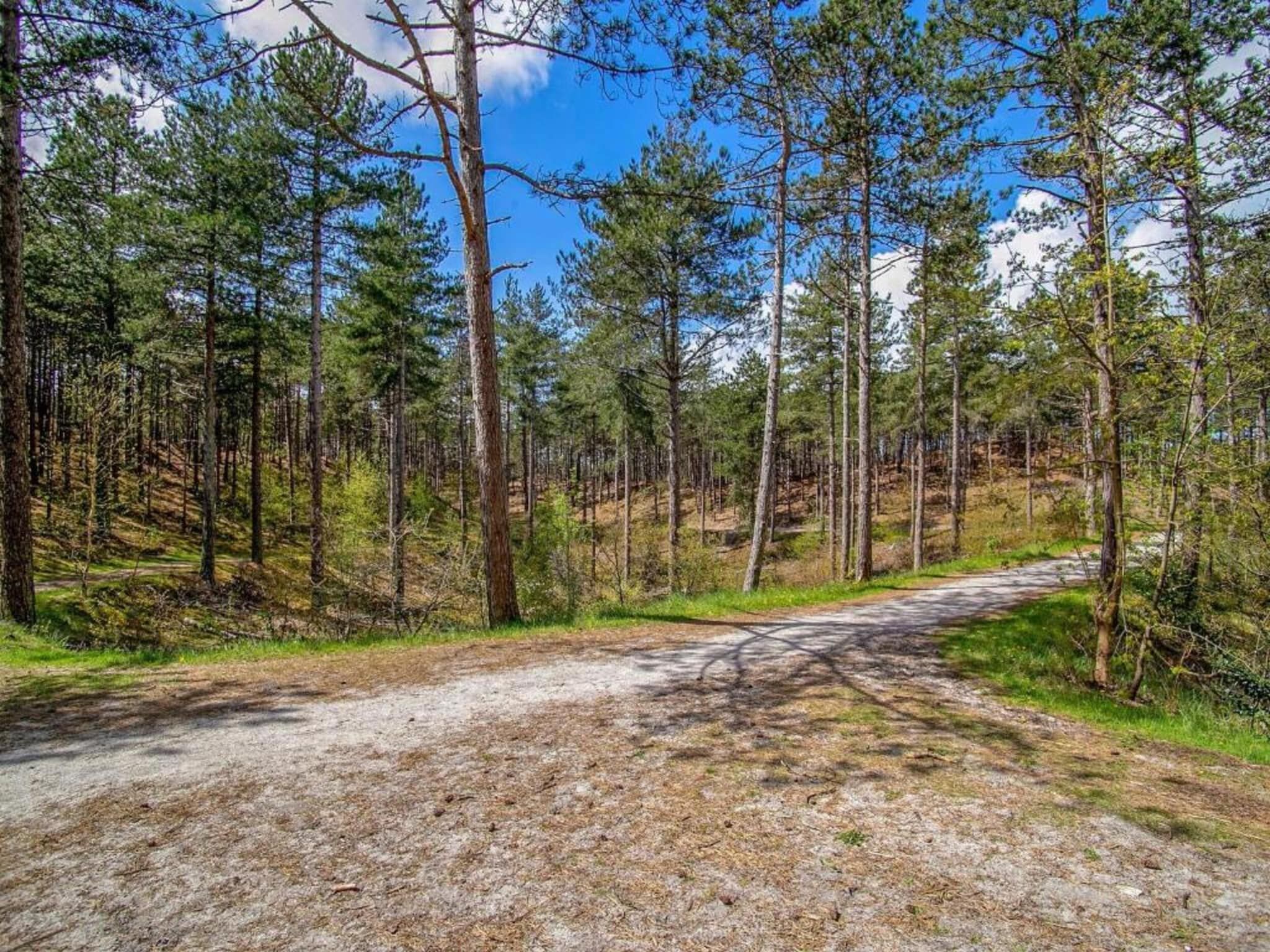 Villa Jean in Schoorl - Foto 33 van 40