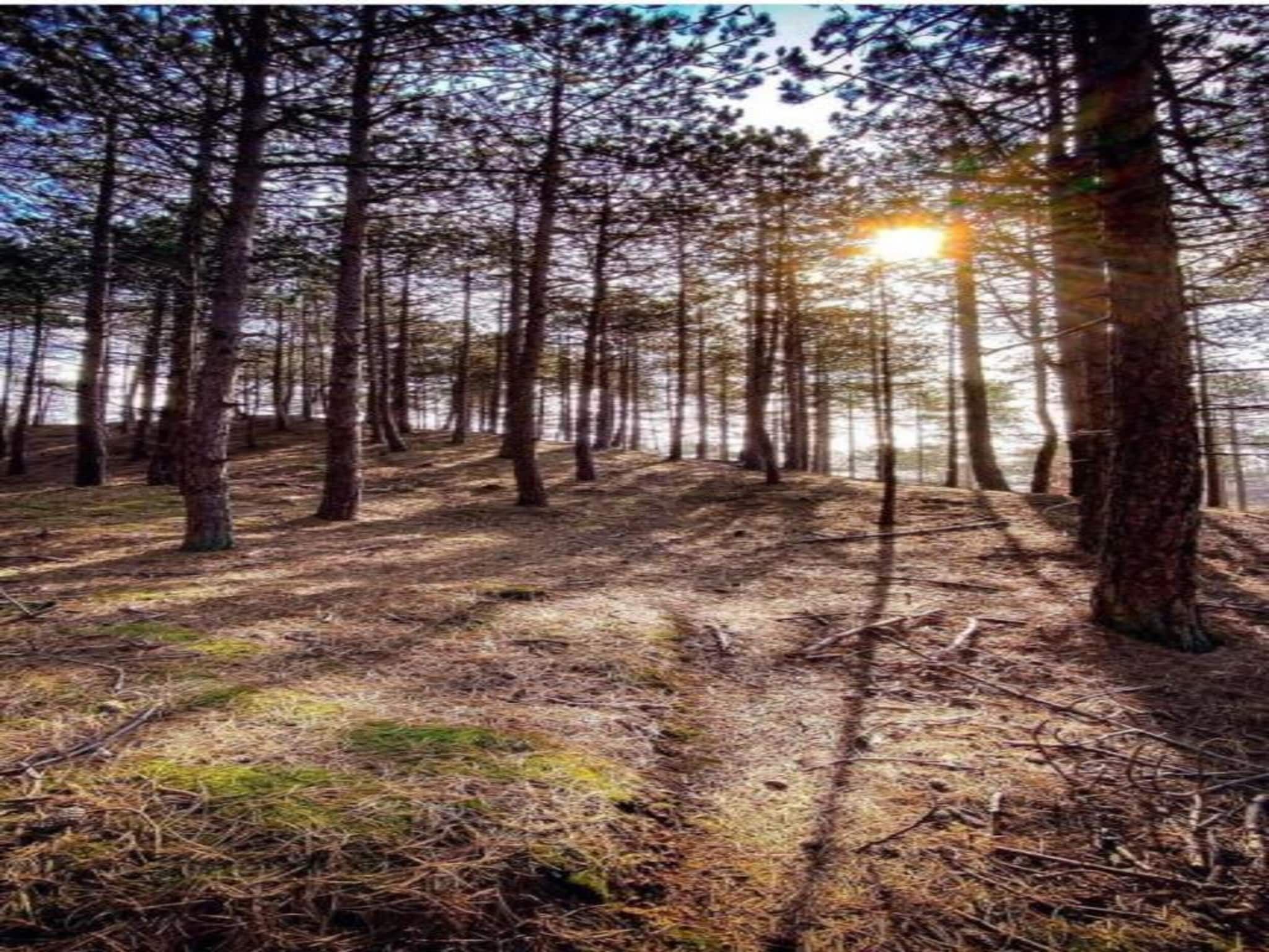 Villa Jean in Schoorl - Foto 38 van 40