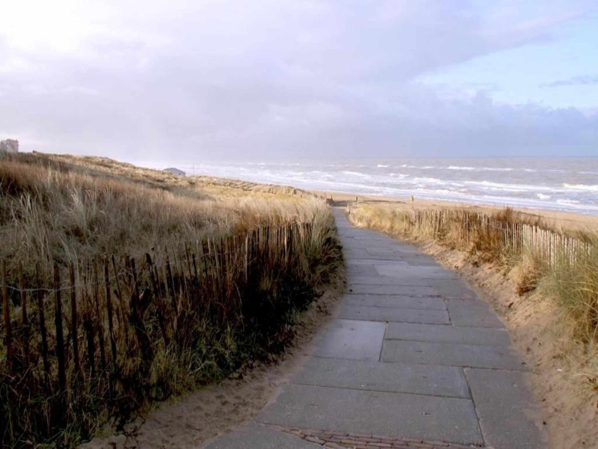 Searose in Noordwijk - Foto 35 van 40