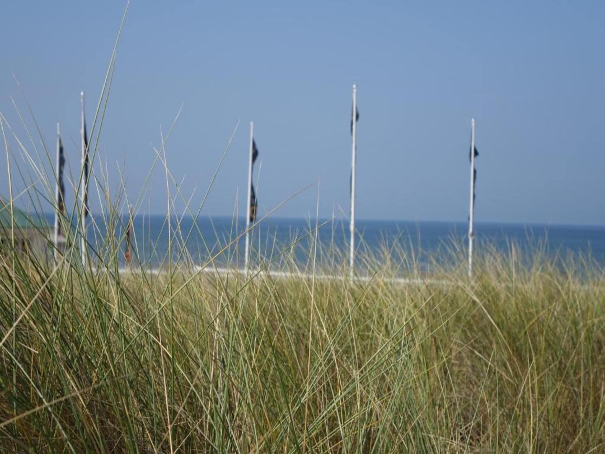 Searose in Noordwijk - Foto 31 van 40