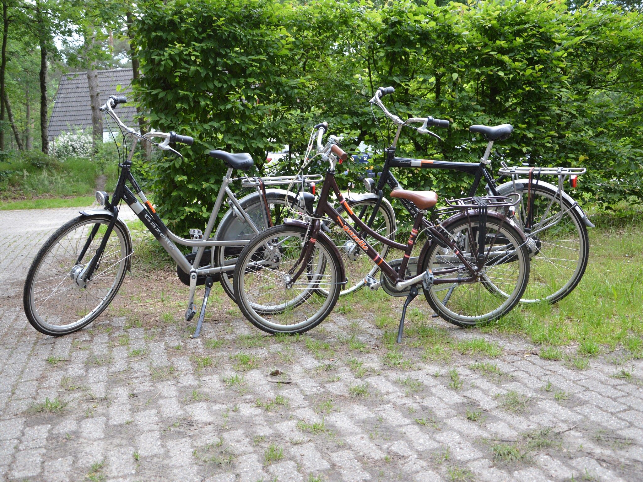 Parkfaciliteiten bij Het Kleine Landgoed in Stramproy