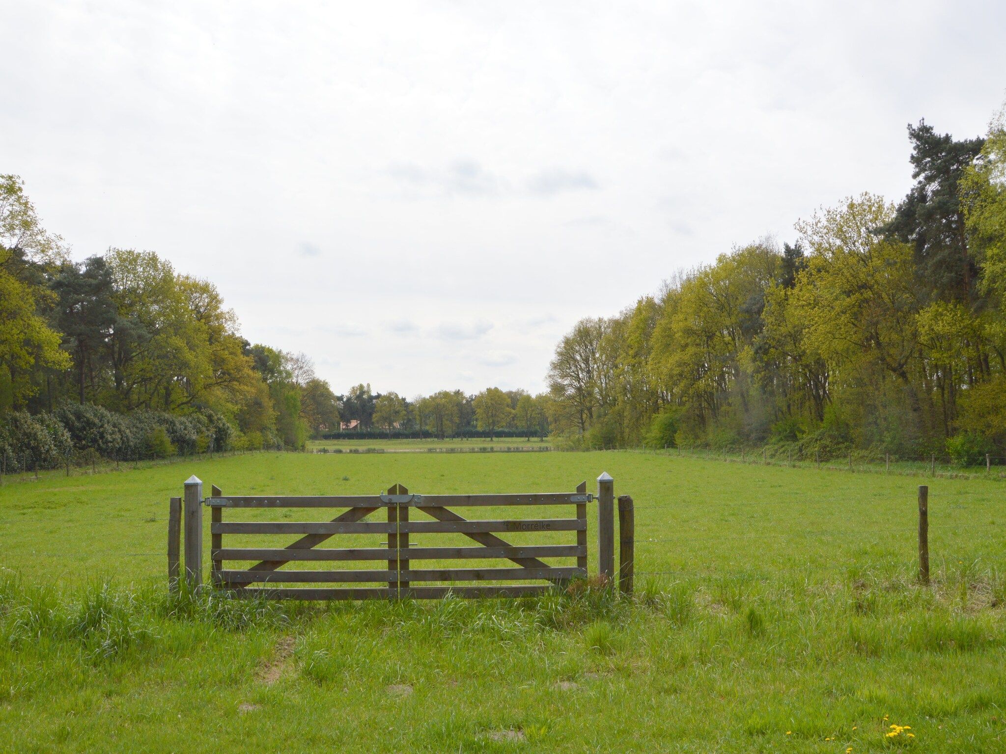Het Kleine Landgoed in Stramproy - Foto 30 van 40
