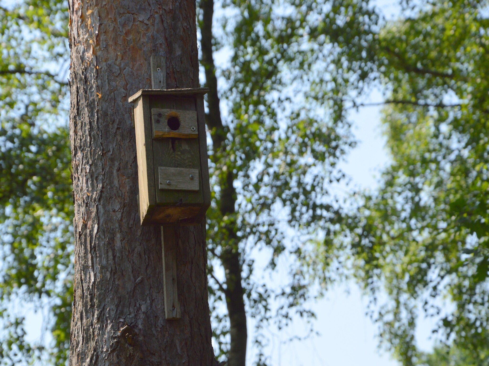 De tuin van Het Kleine Landgoed in Stramproy