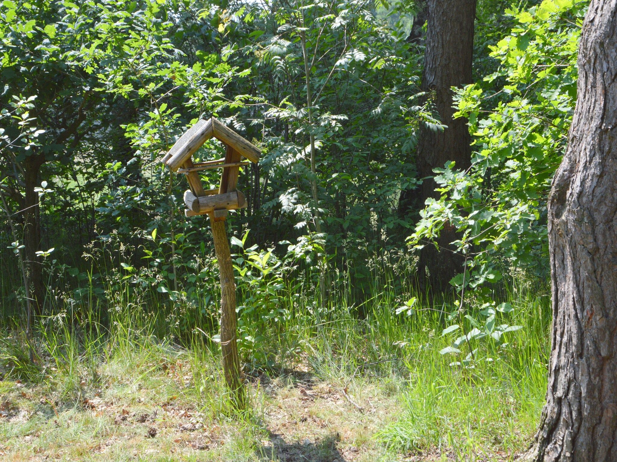 De tuin van Het Kleine Landgoed in Stramproy