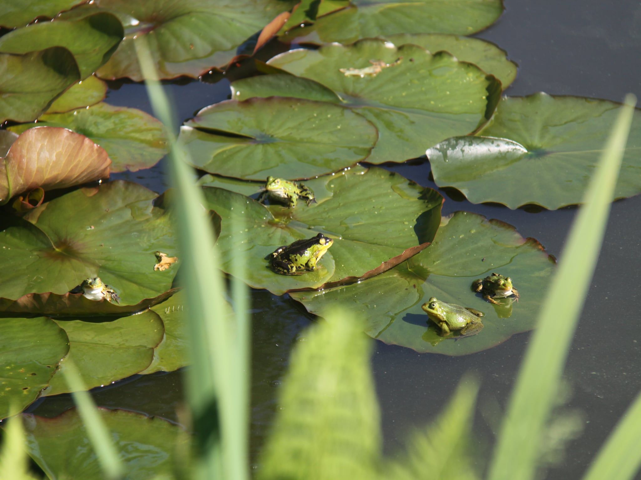 Sfeerbeeld van Kempernoel in Heino