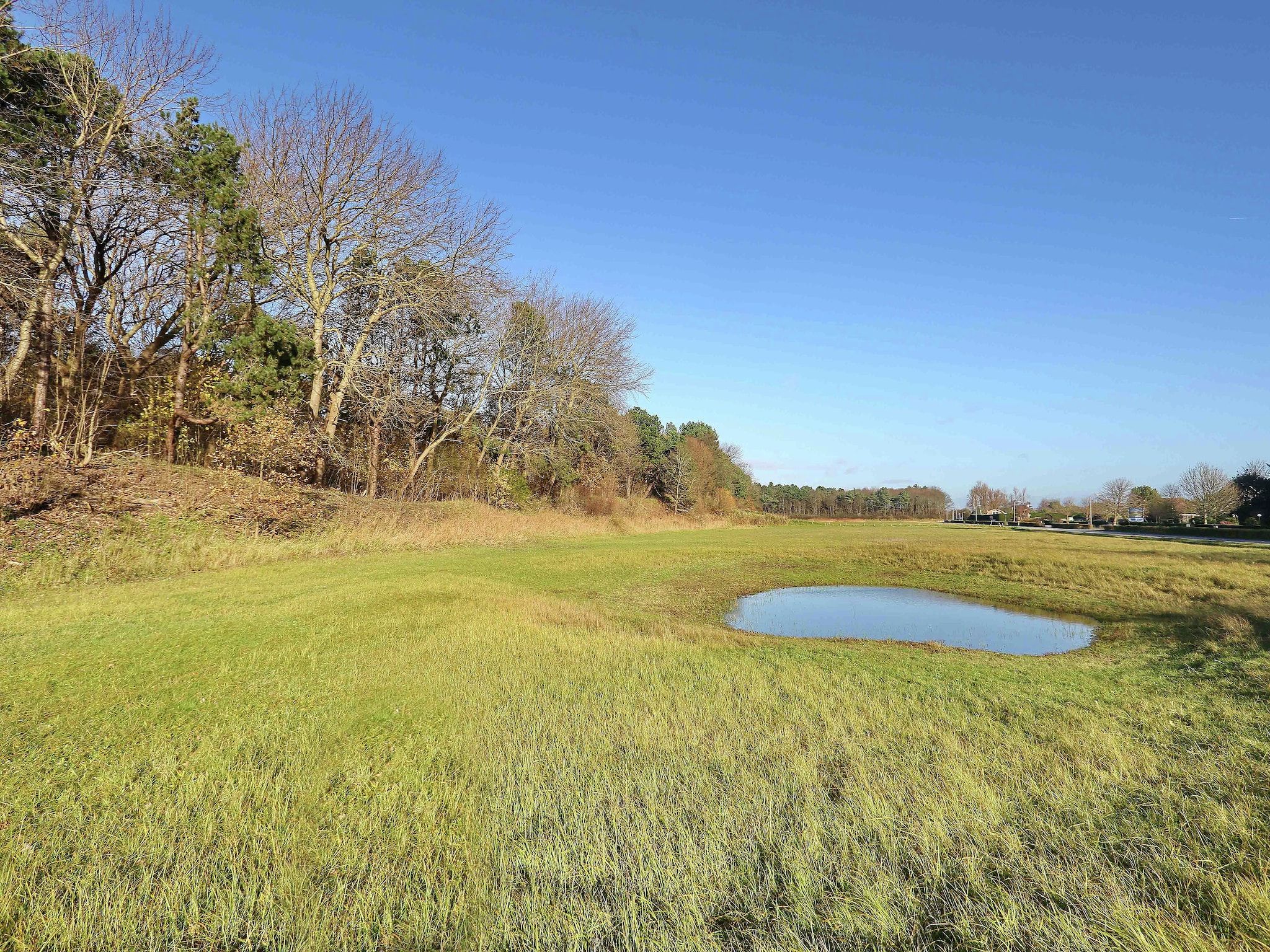 Het uitzicht vanaf Duinvilla Noordwijk in Noordwijk