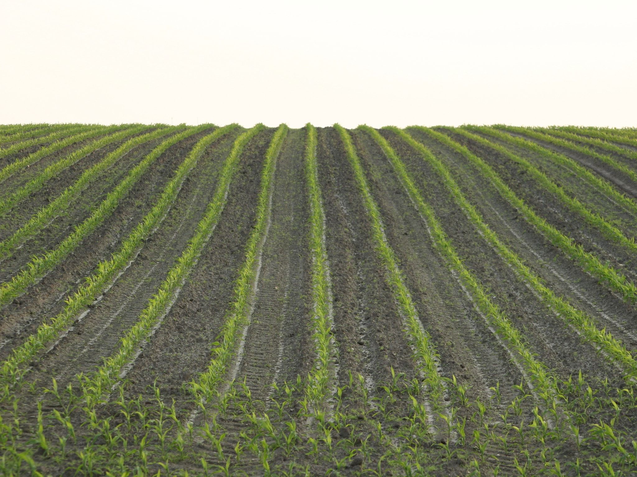 Chaletpark Kuiperberg 4 in Ootmarsum - Foto 25 van 37