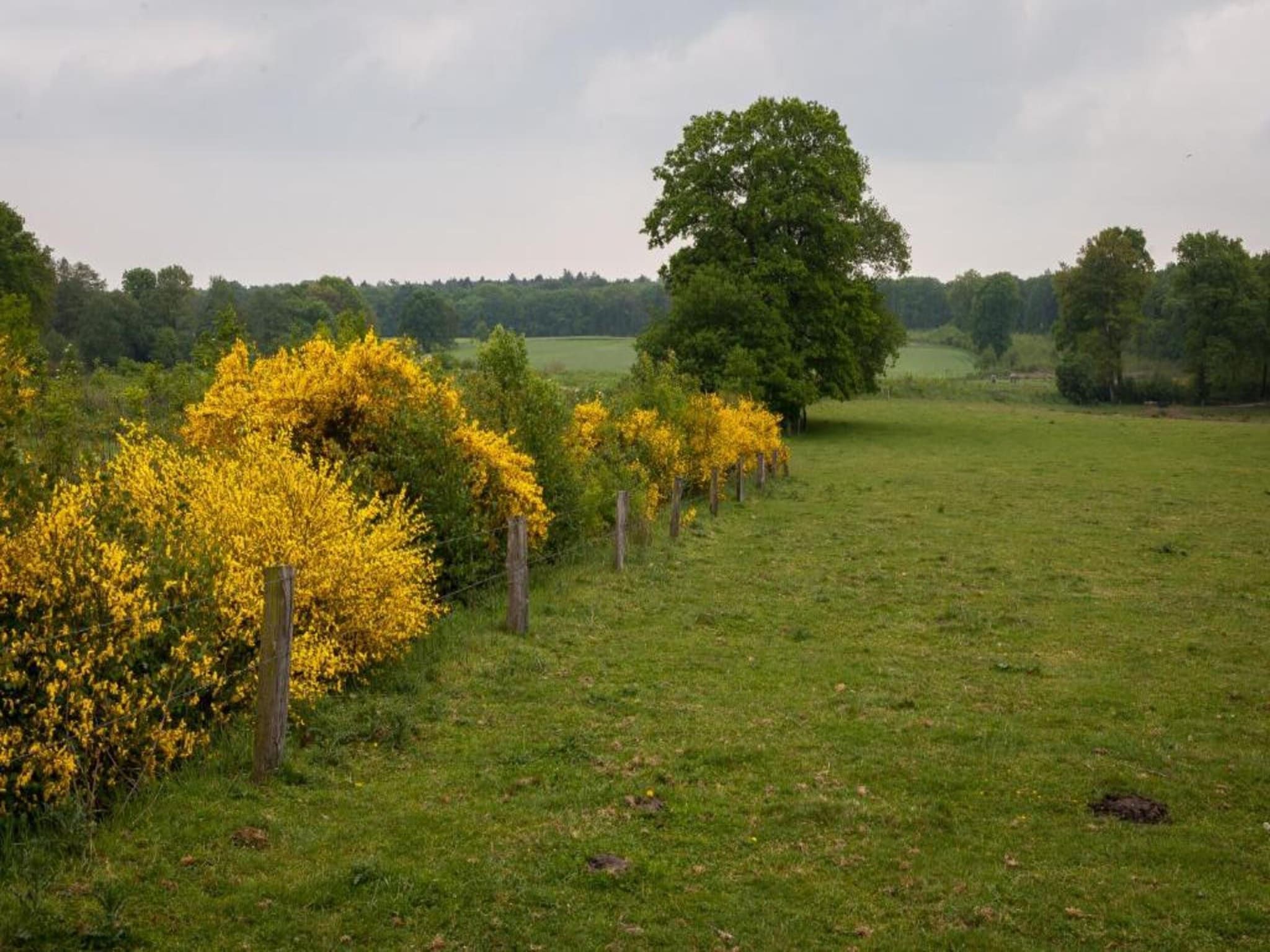 De omgeving van Chaletpark Kuiperberg 4 in Ootmarsum