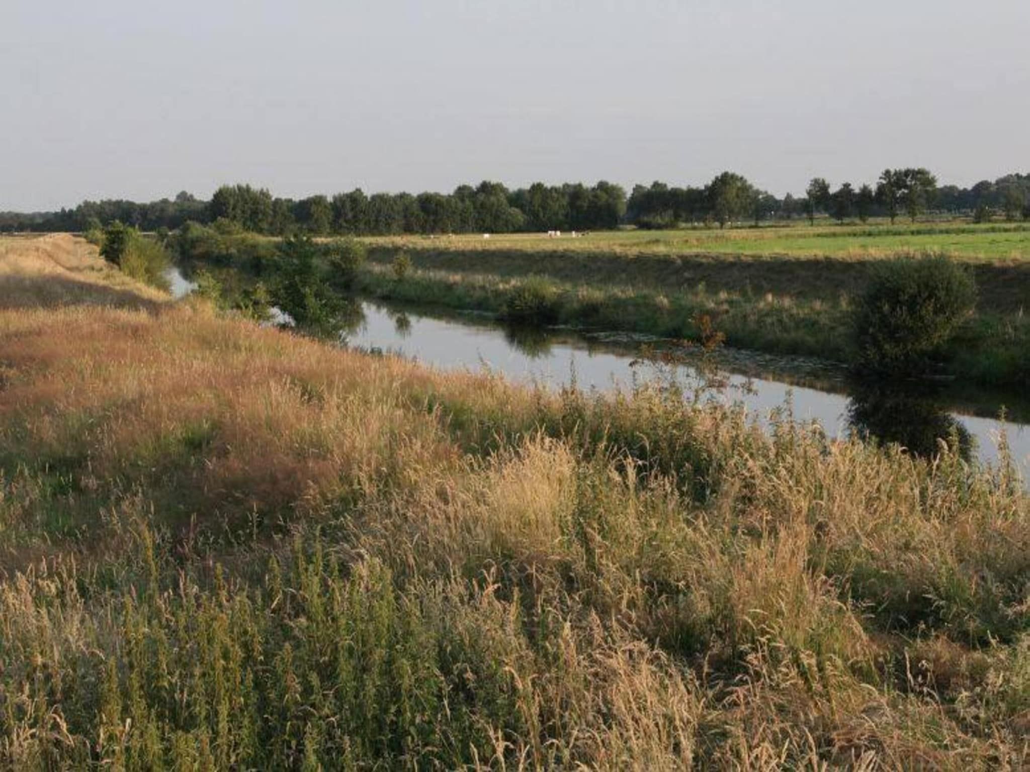 Chaletpark Kuiperberg 4 in Ootmarsum - Foto 33 van 37