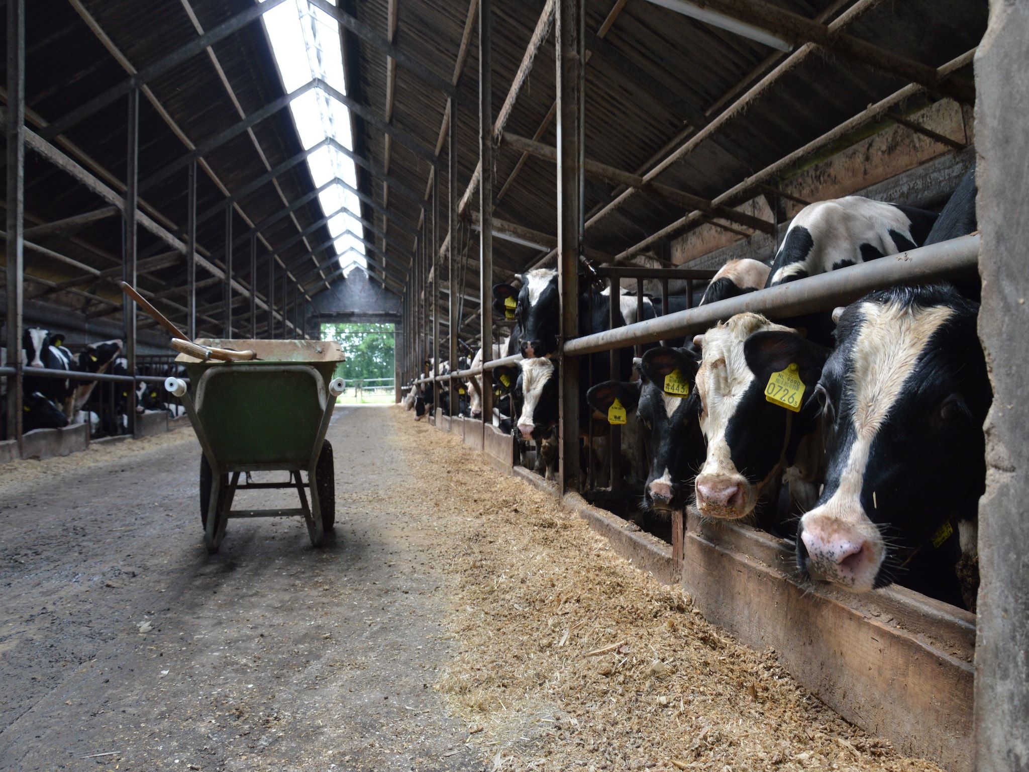 Bakhuus in Geesteren - Foto 24 van 31