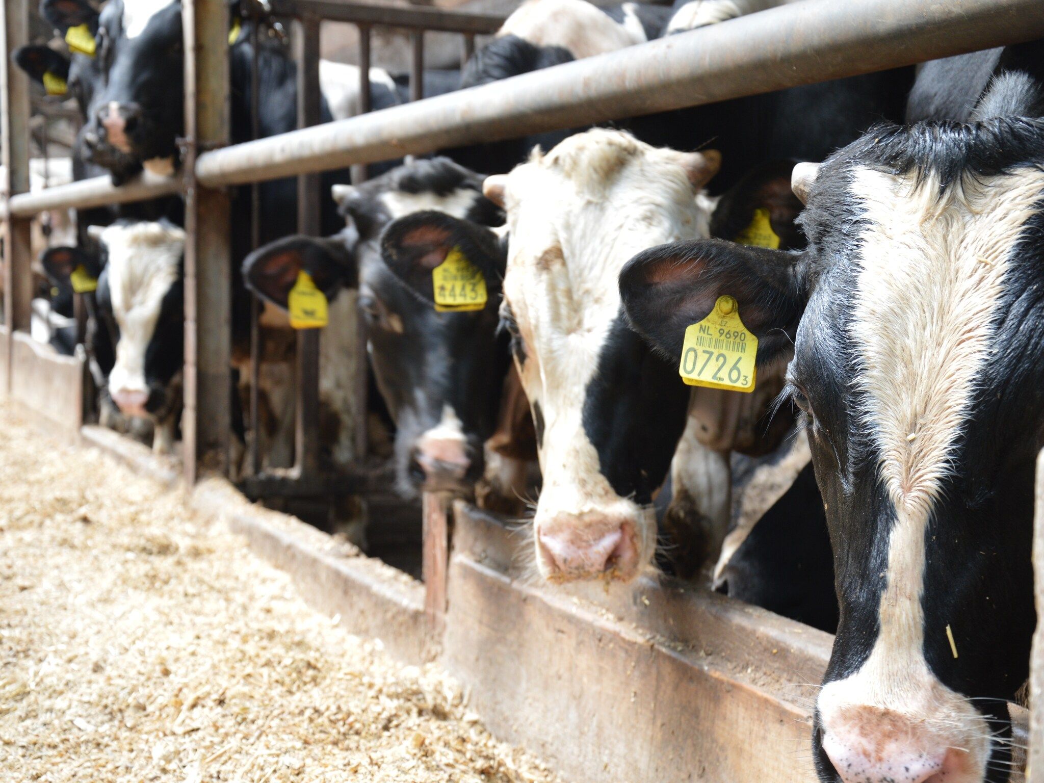 Bakhuus in Geesteren - Foto 25 van 31