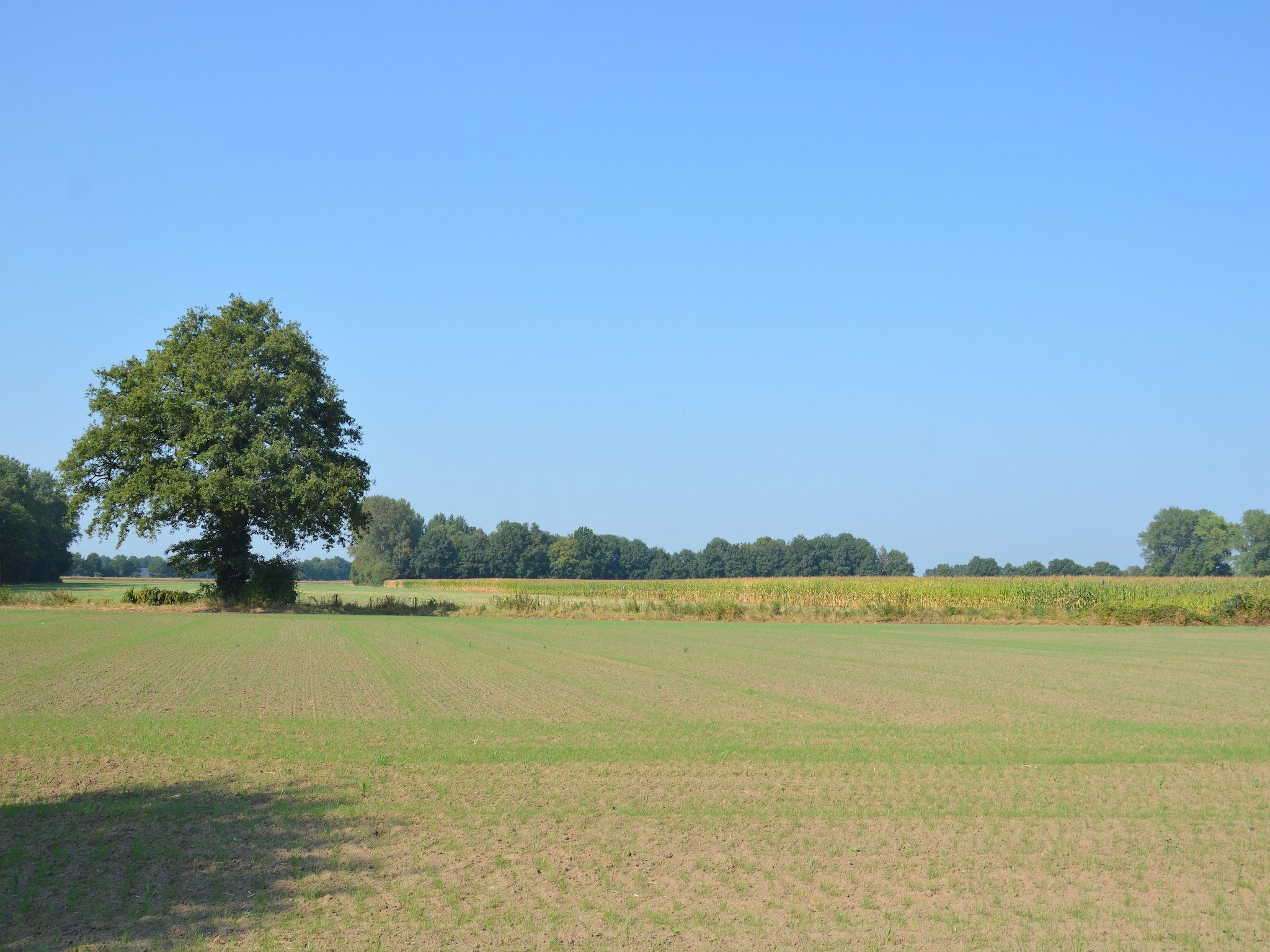 De tuin van Bakhuus in Geesteren