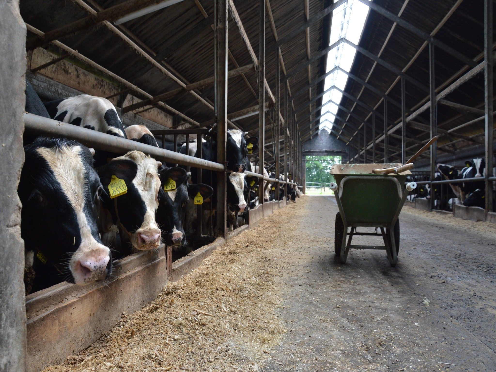 Bakhuus in Geesteren - Foto 30 van 31