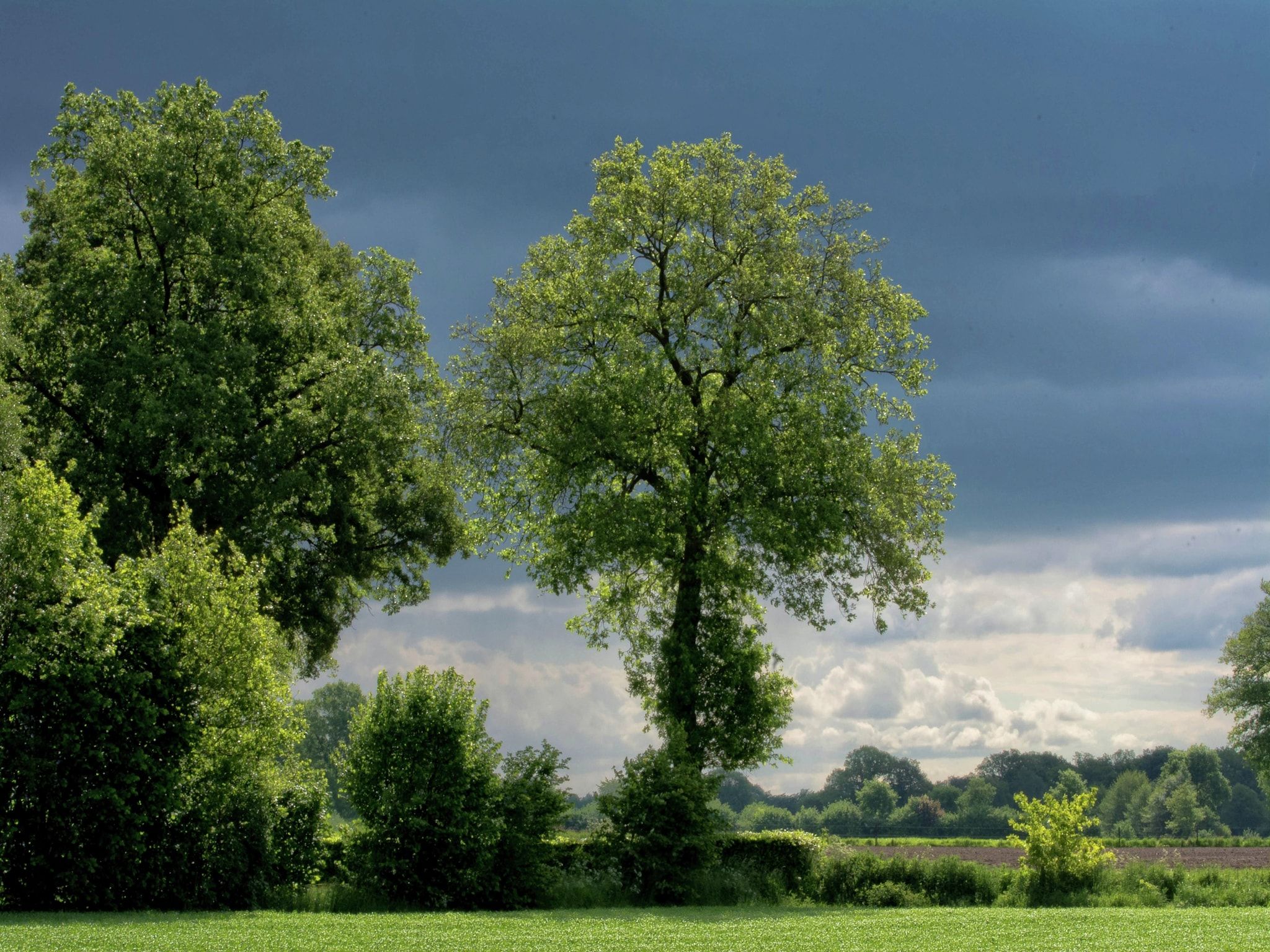 De tuin van Bakhuus in Geesteren